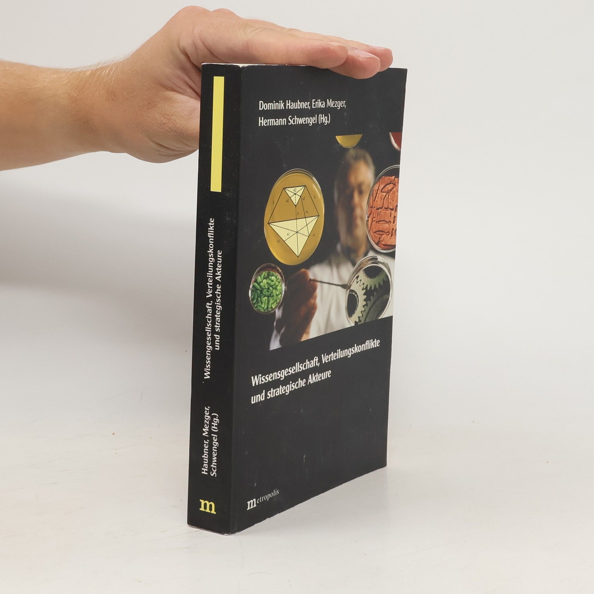 Dominik Haubner Wissensgesellschaft, Verteilungskonflikte und strategische Akteure