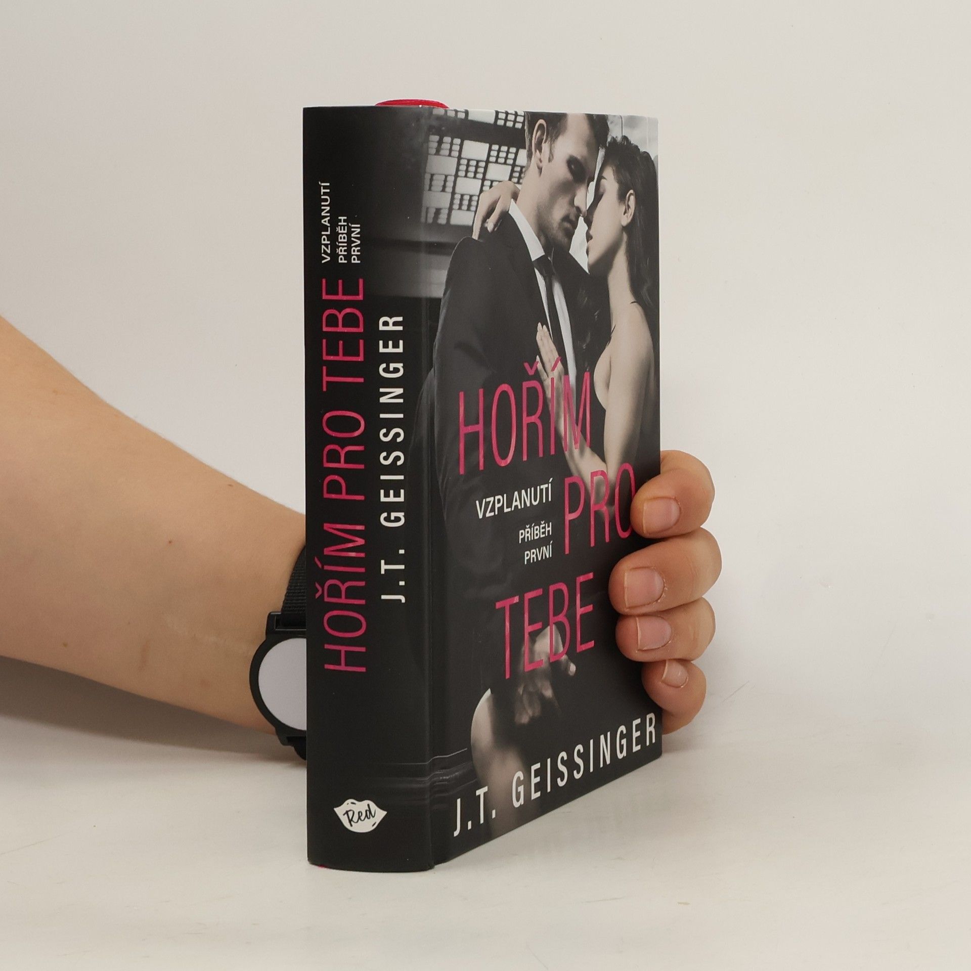 J. T. Geissinger Hořím pro tebe. Příběh první, Vzplanutí