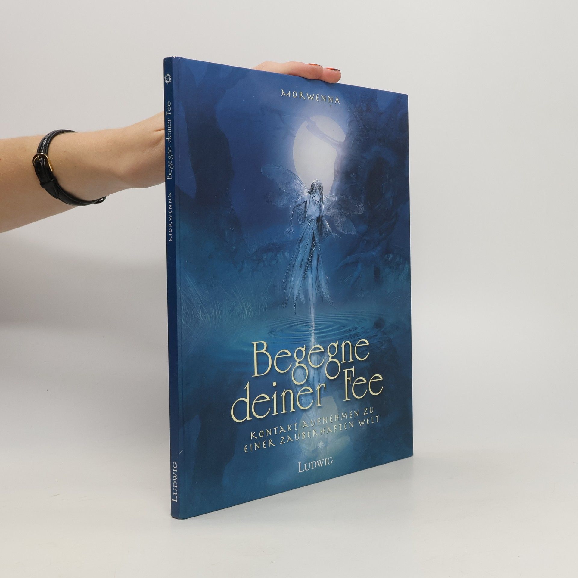 Morwenna Begegne deiner Fee