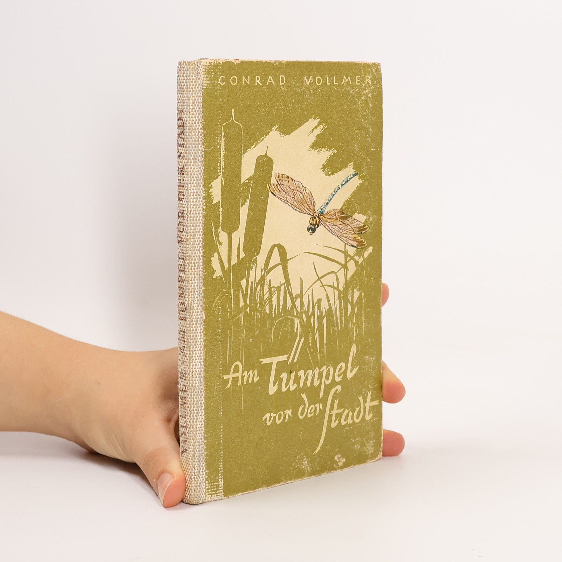 Am Tümpel vor der Stadt