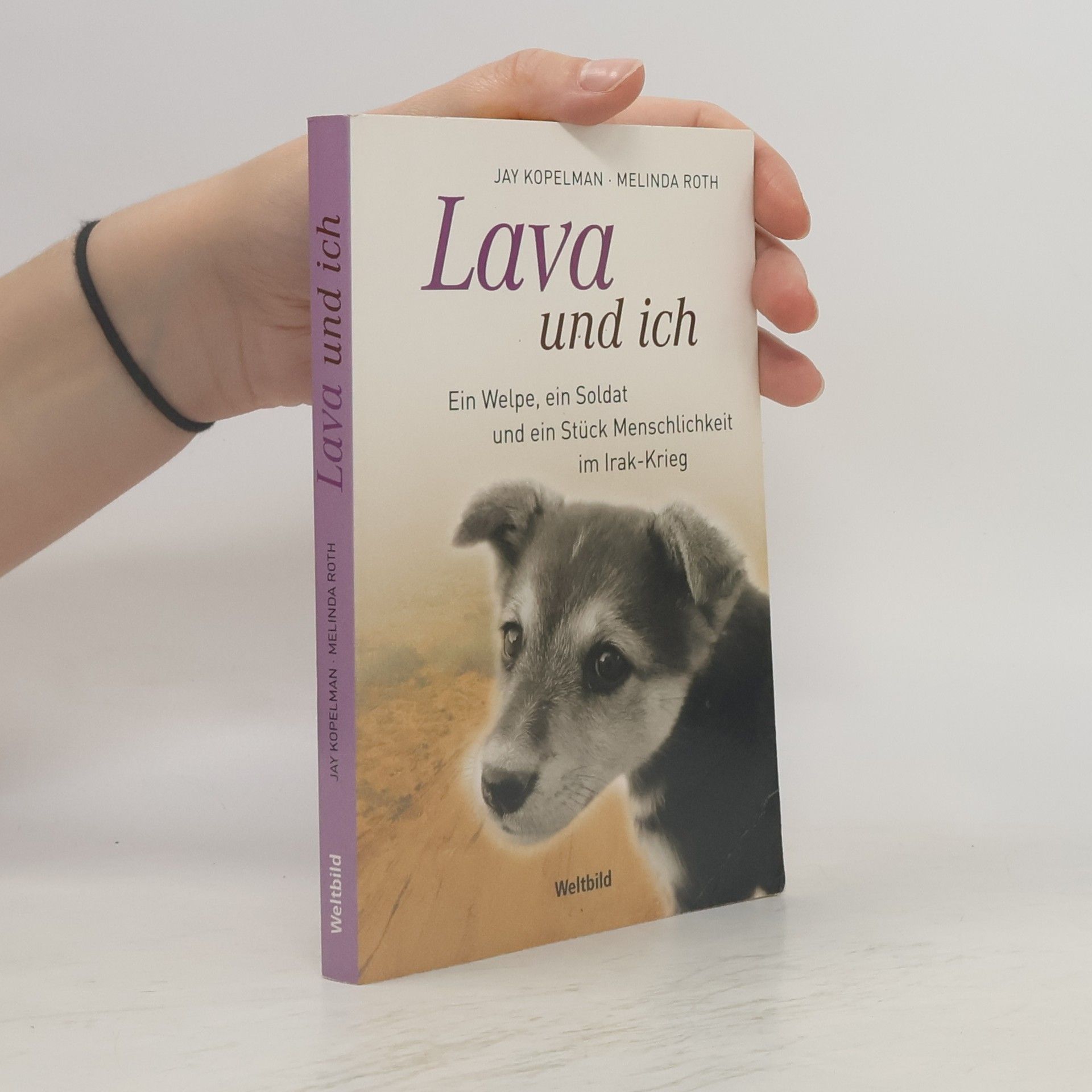 Jay Kopelman Lava und ich