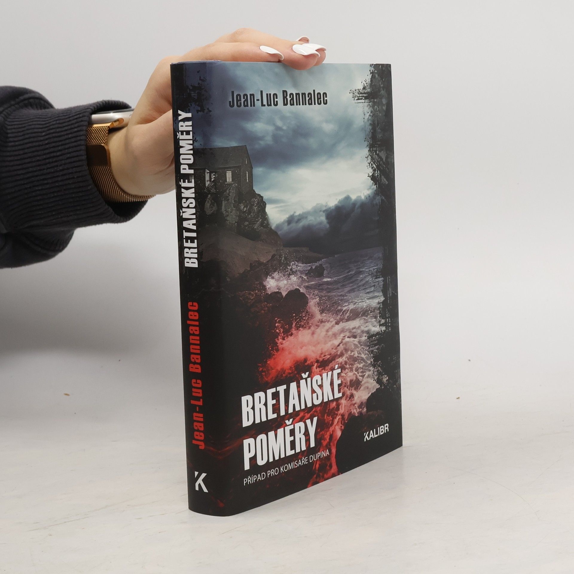 Jörg Bong Bretaňské poměry : případ pro komisaře Dupina