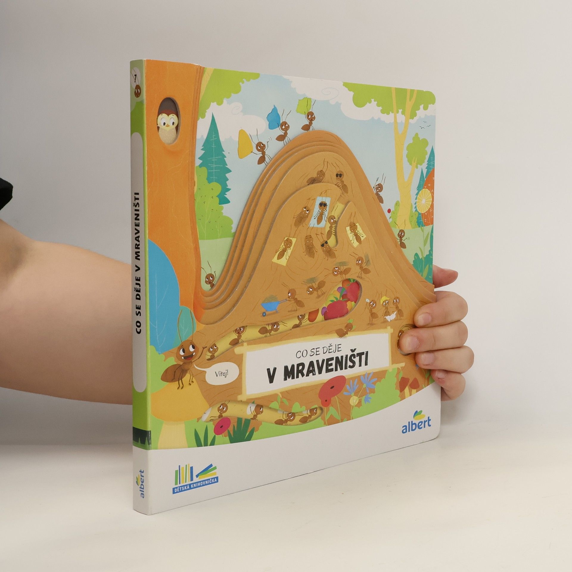 Kolektiv autorů Co se děje v mraveništi