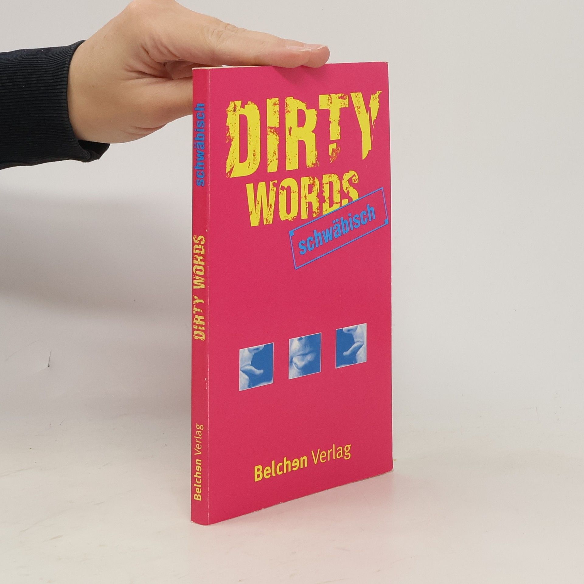 Auteurscollectief Dirty Words schwäbisch