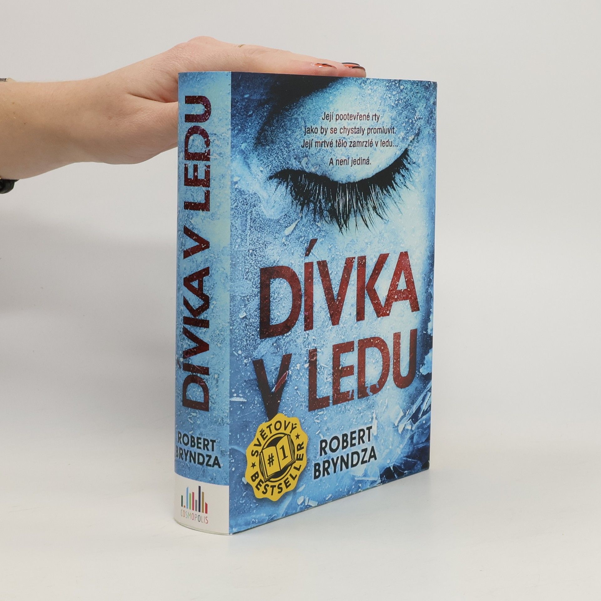 Robert Bryndza Dívka v ledu