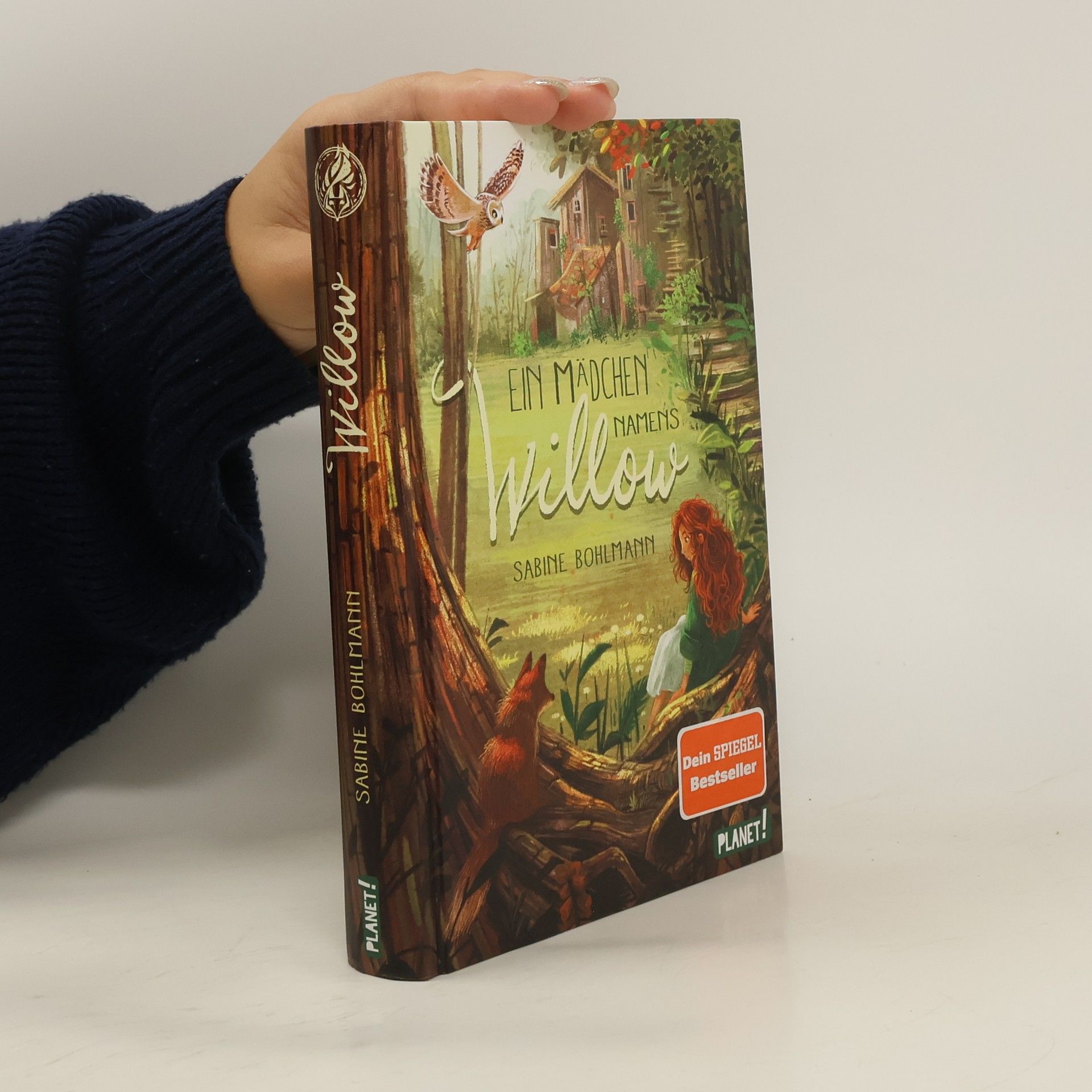 Sabine Bohlmann Ein Mädchen namens Willow