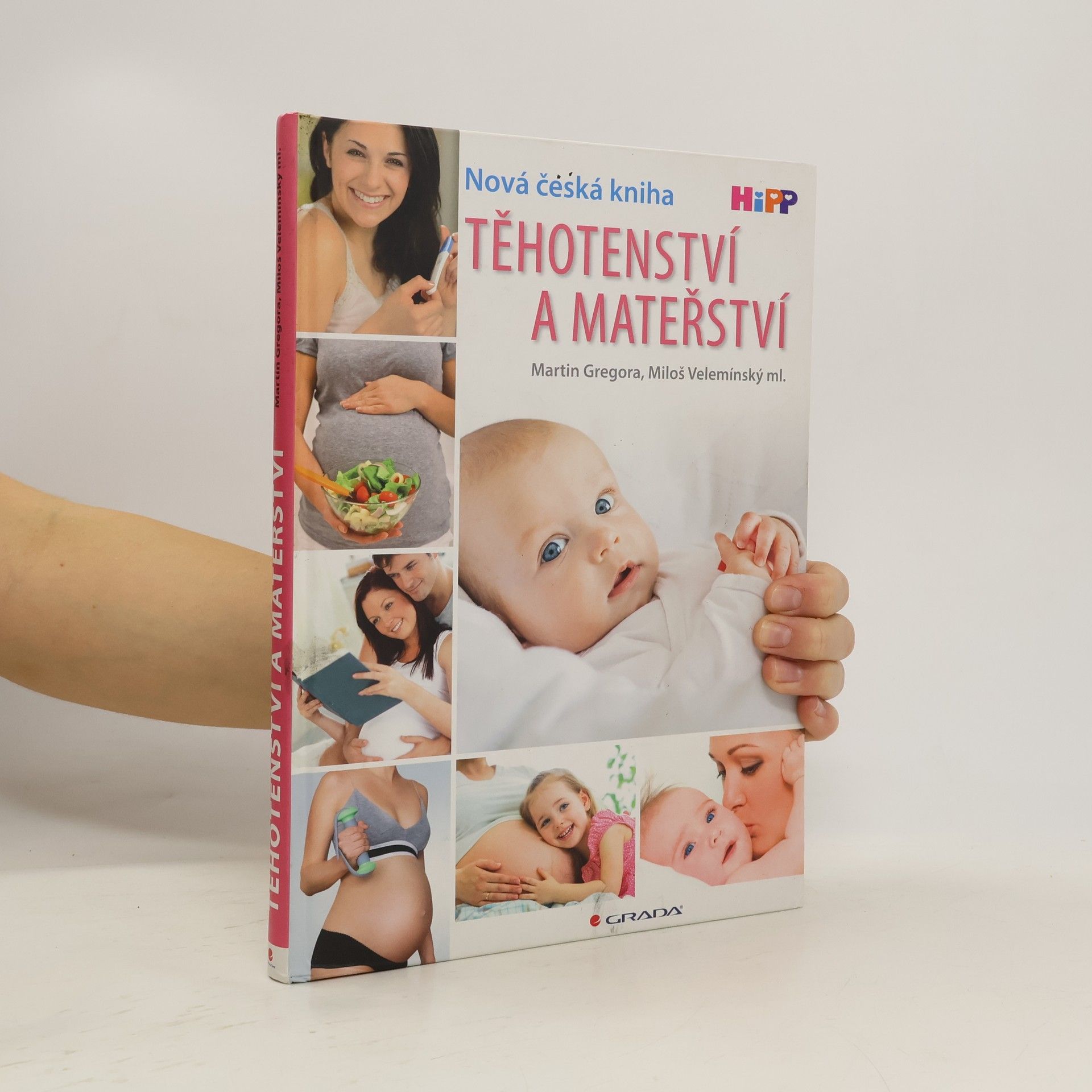 Martin Gregor-Dellin Těhotenství a mateřství