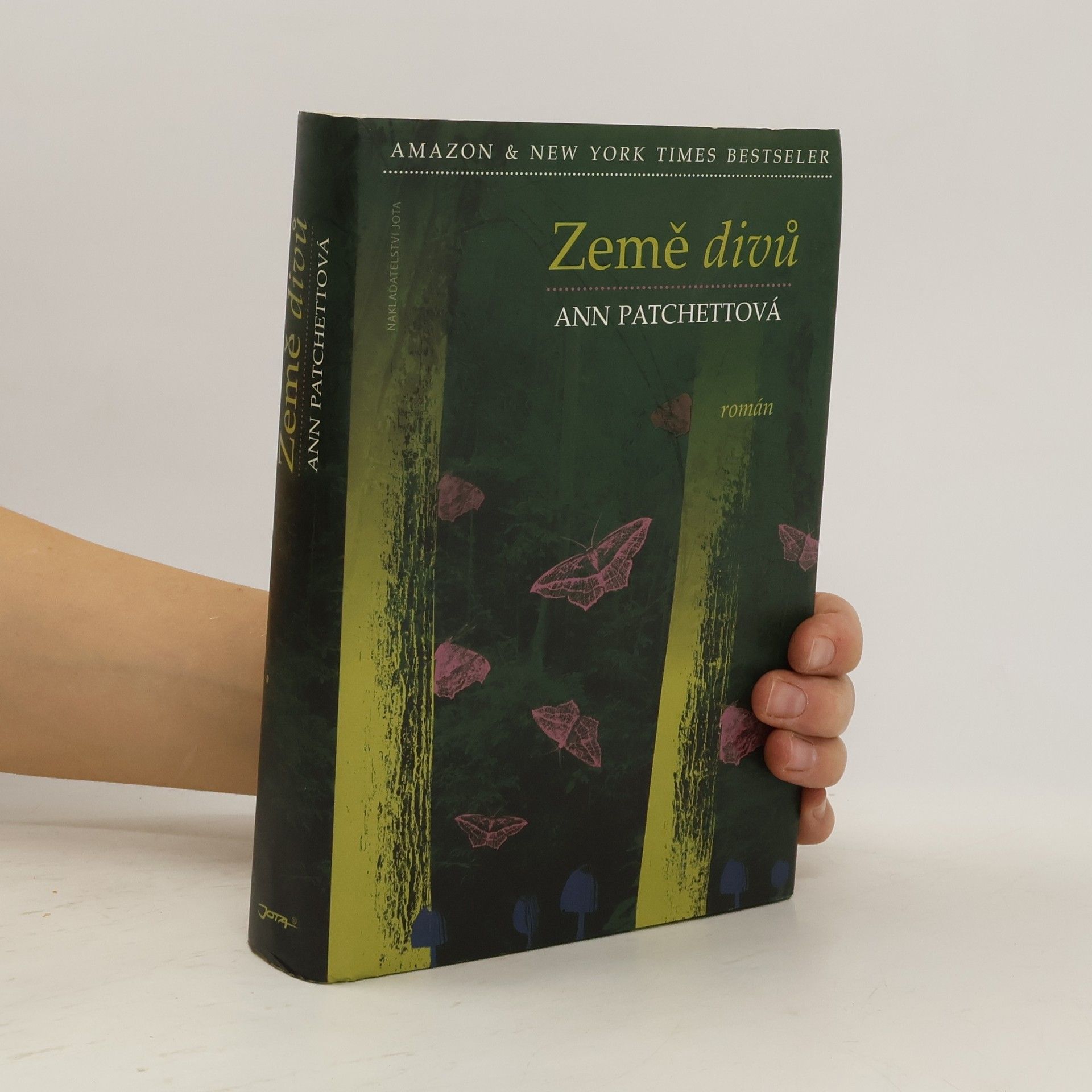 Ann Patchett Země divů