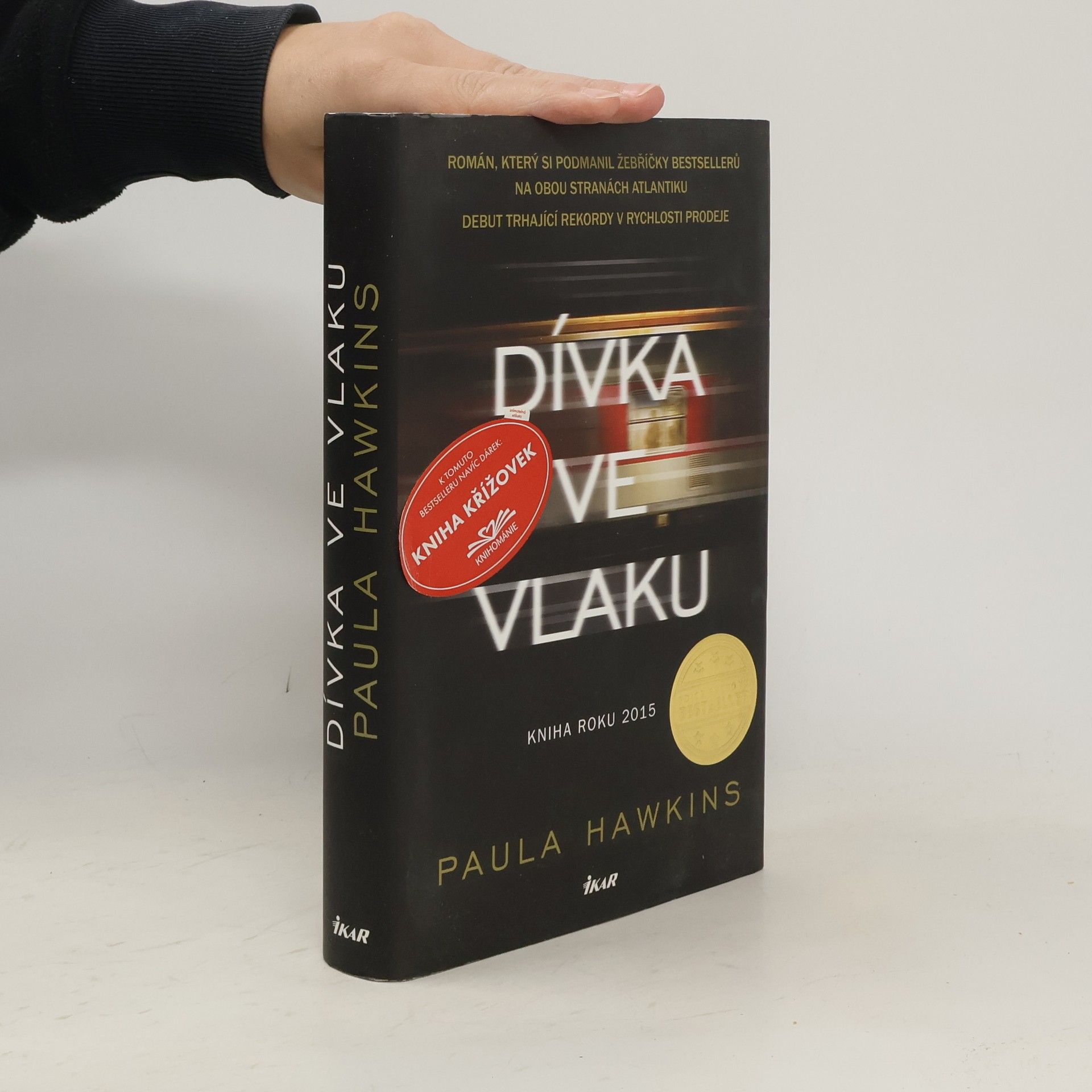 Dívka ve vlaku