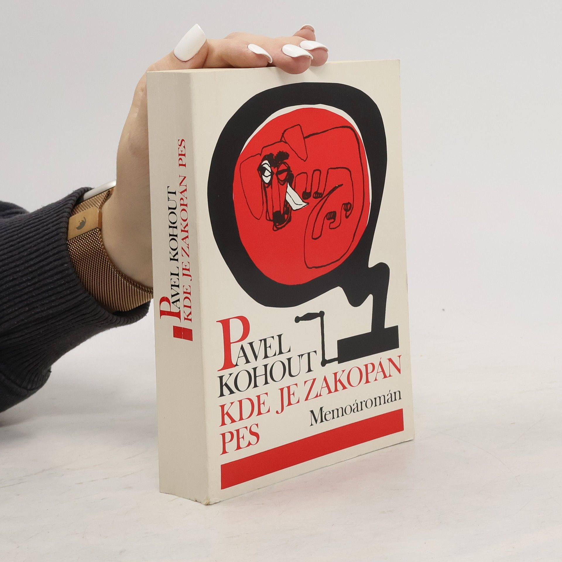 Pavel Kohout Kde je zakopán pes