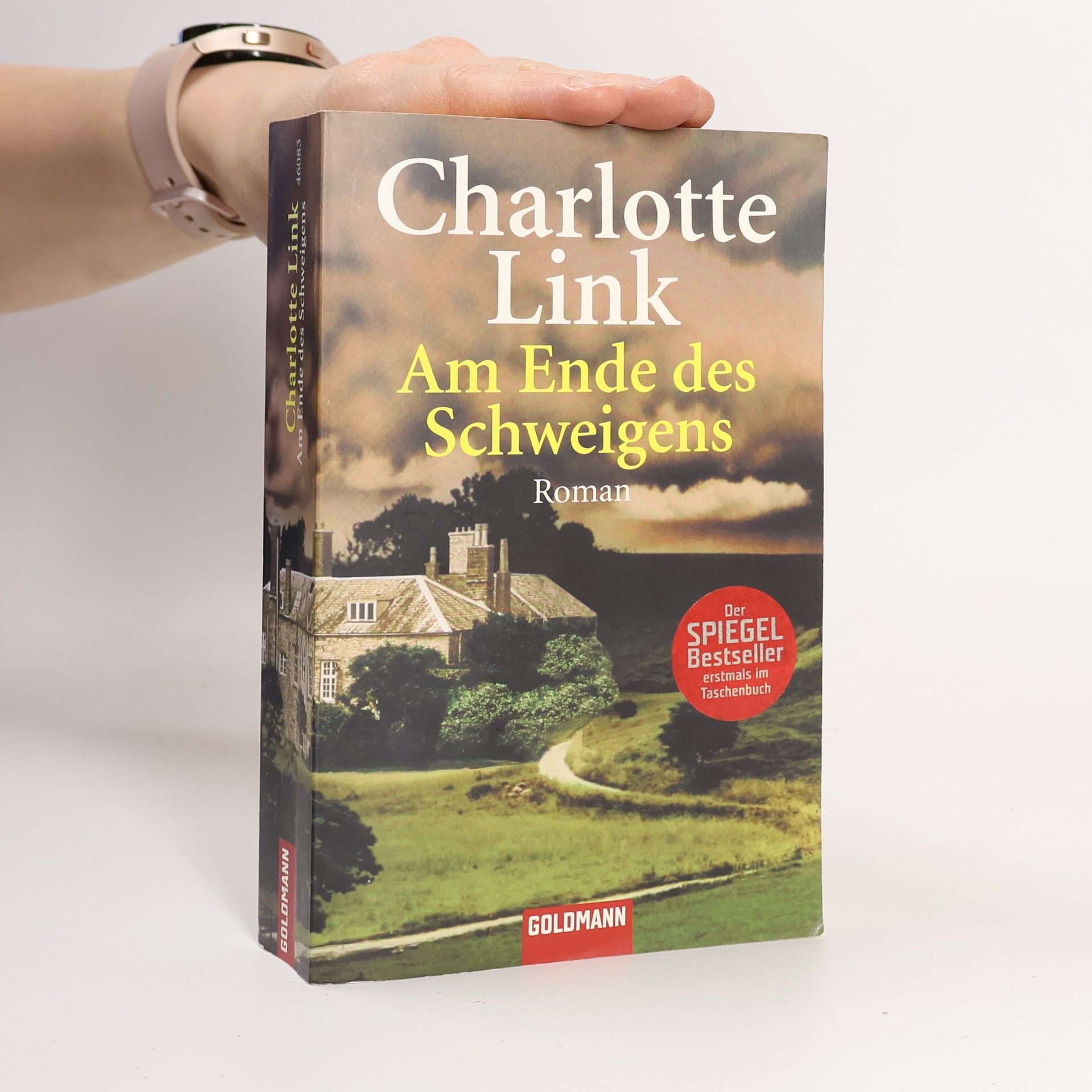 Charlotte Link Am Ende des Schweigens