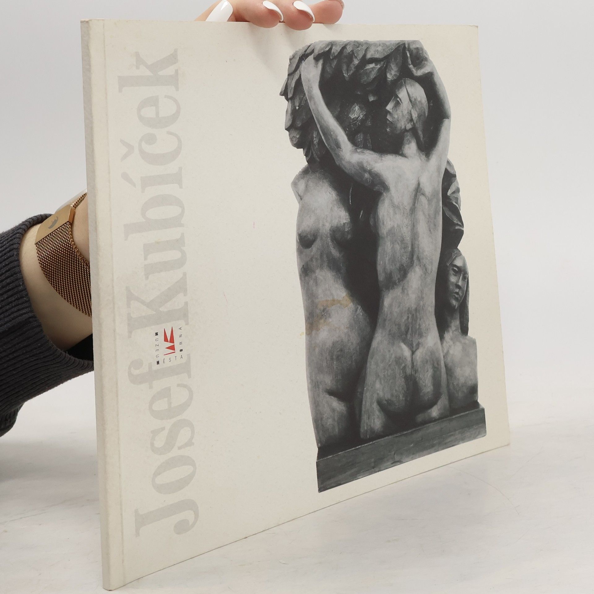 Kolektiv autorů Josef Kubíček