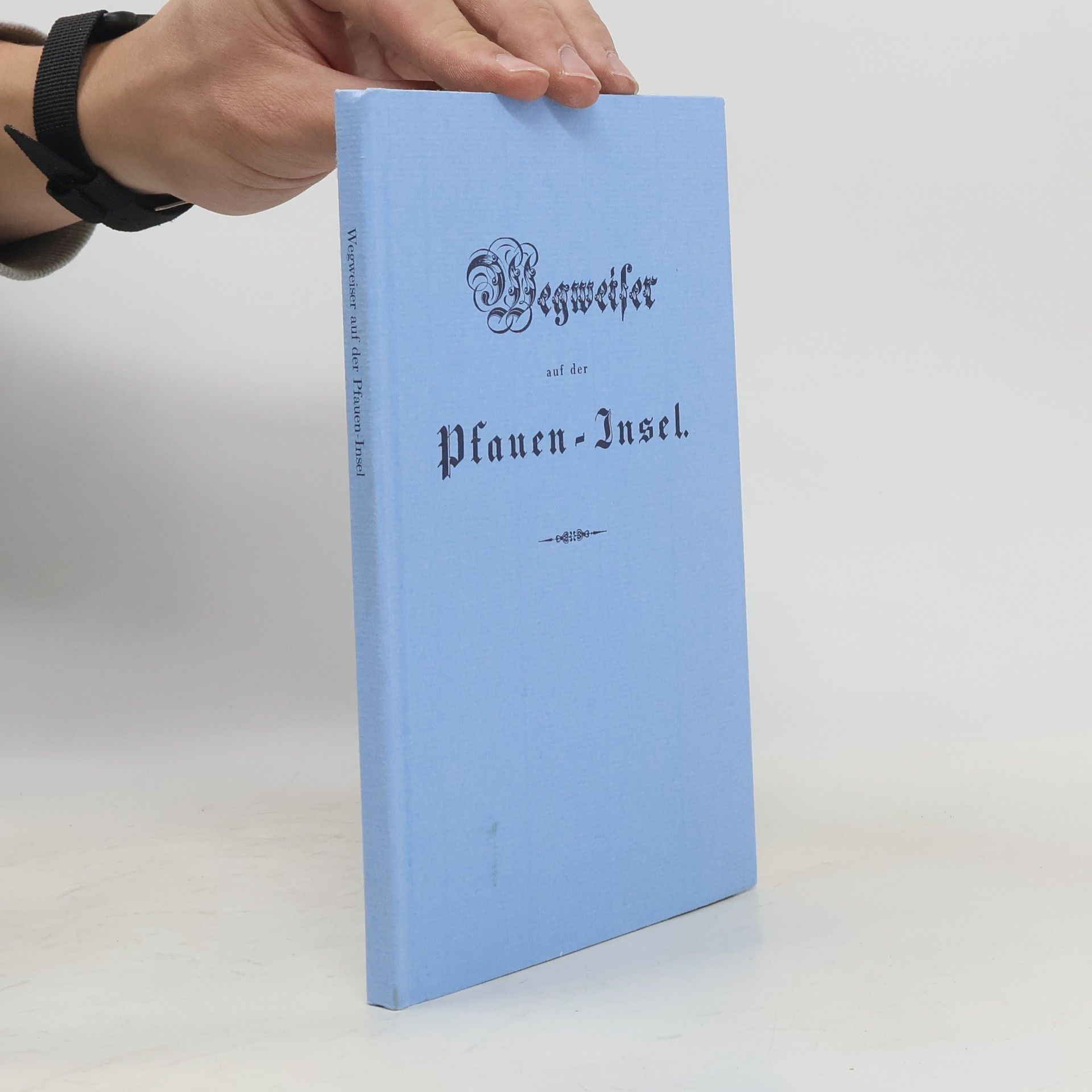 Gustav Adolph Fintelmann Wegweiser auf der Pfaueninsel