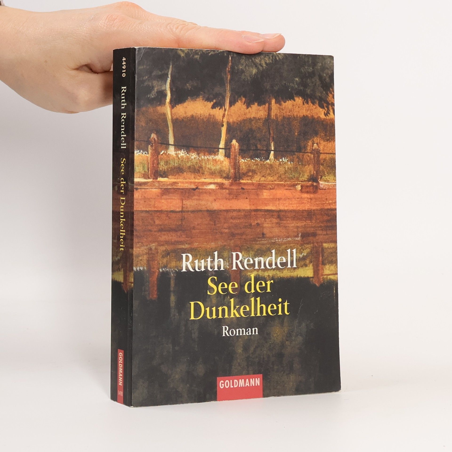 Ruth Rendell See der Dunkelheit