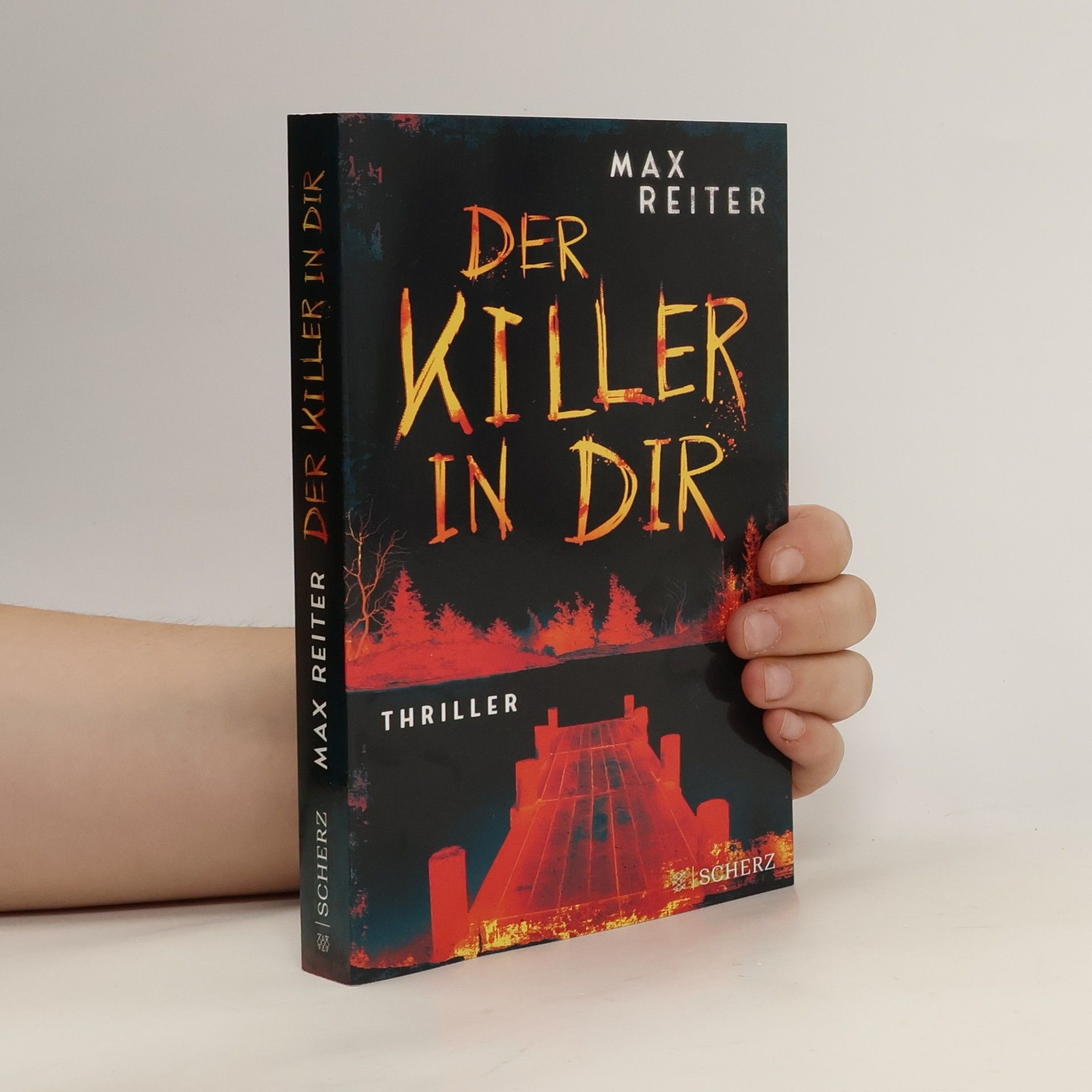 Max Reiter Der Killer in dir