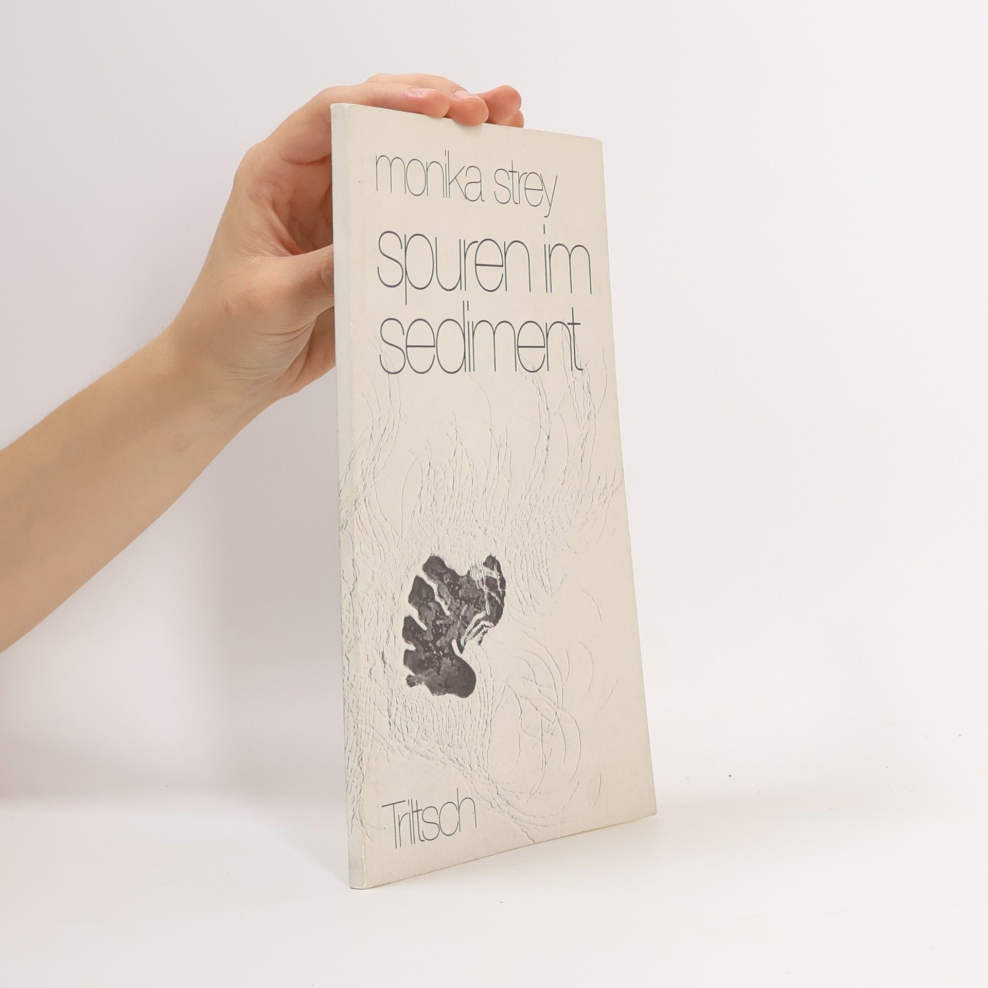 Monika Strey Spuren im Sediment