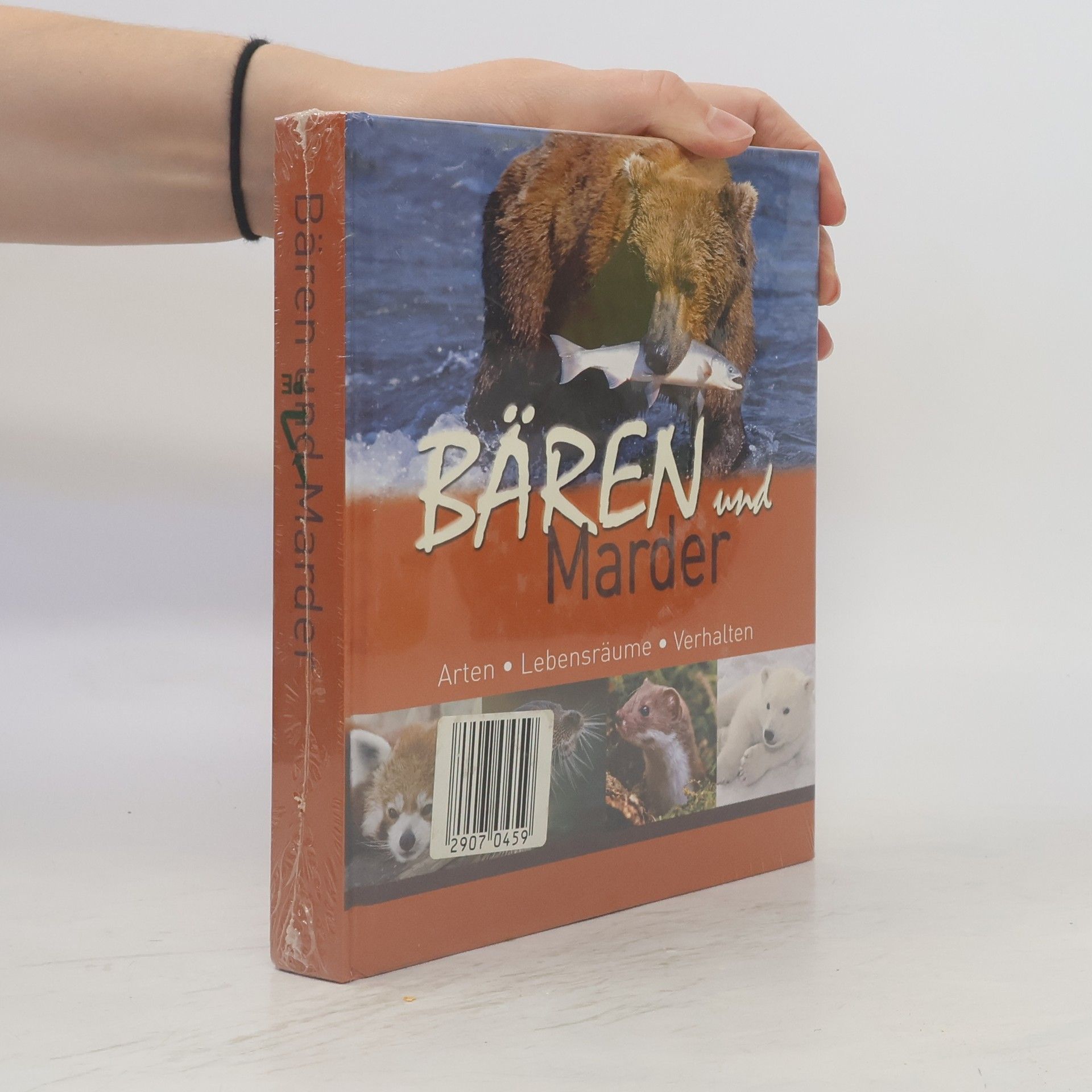 Collectif d'auteurs Bären und Marder. Arten. Lebensräume. Verhalen