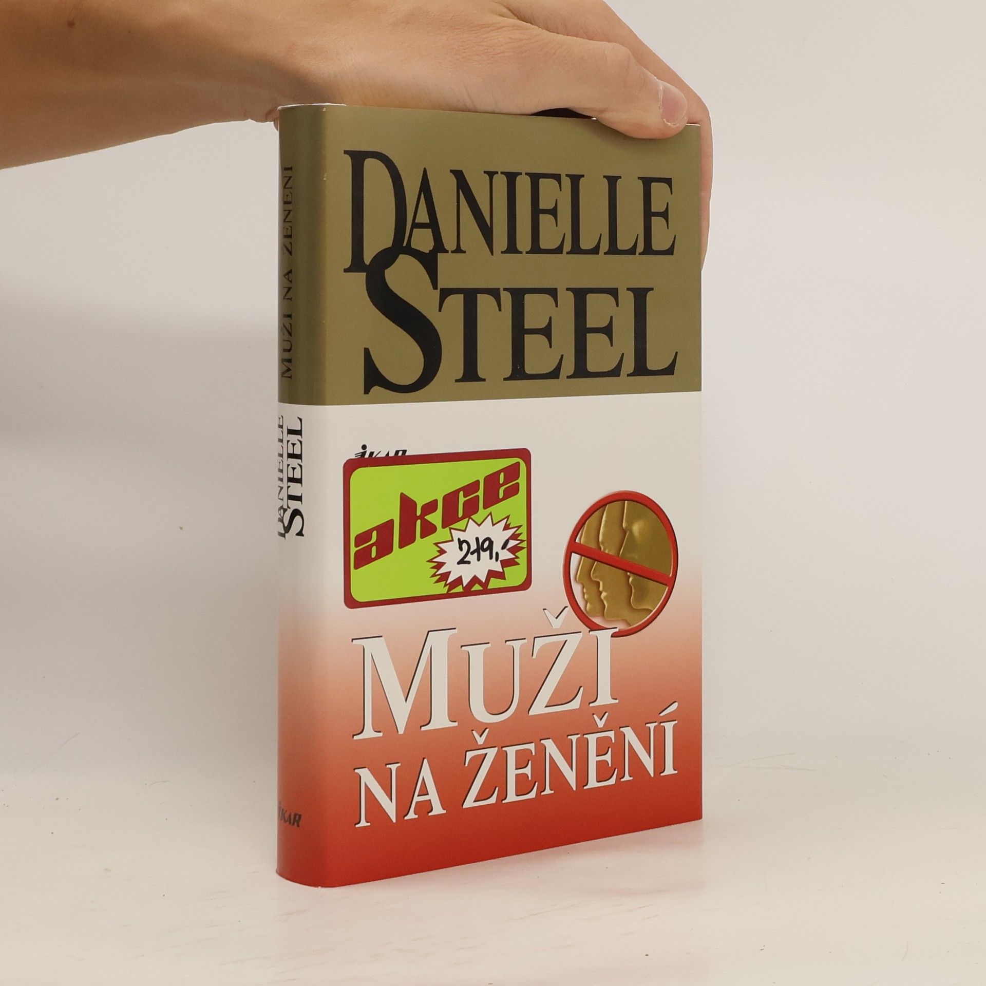 Danielle Steel Muži na ženění