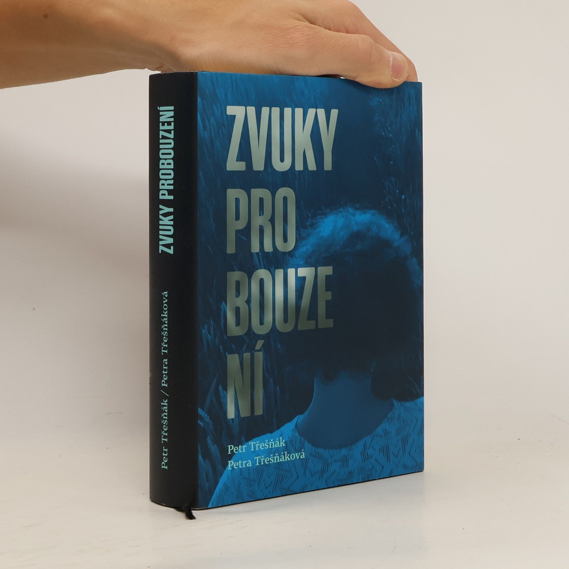 Petr Třešňák Zvuky probouzení