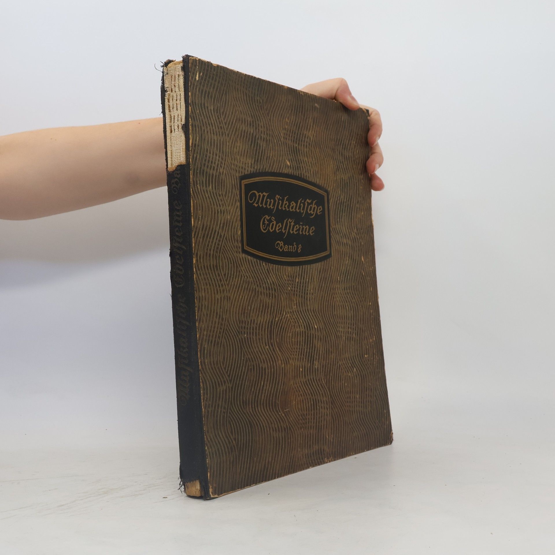 AA.VV. Musikalische Edelsteine Band 8