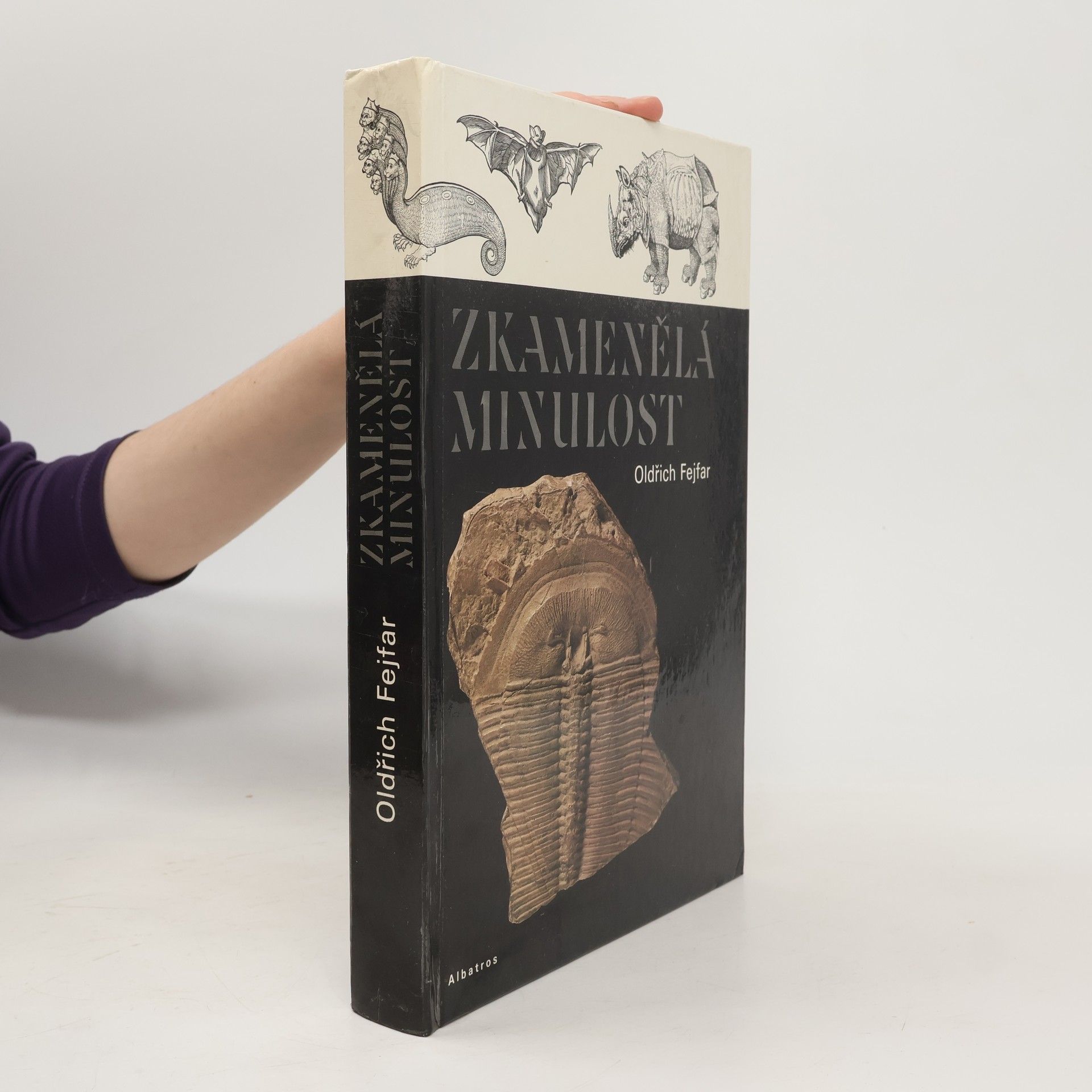 Pavel Štecha Zkamenělá minulost