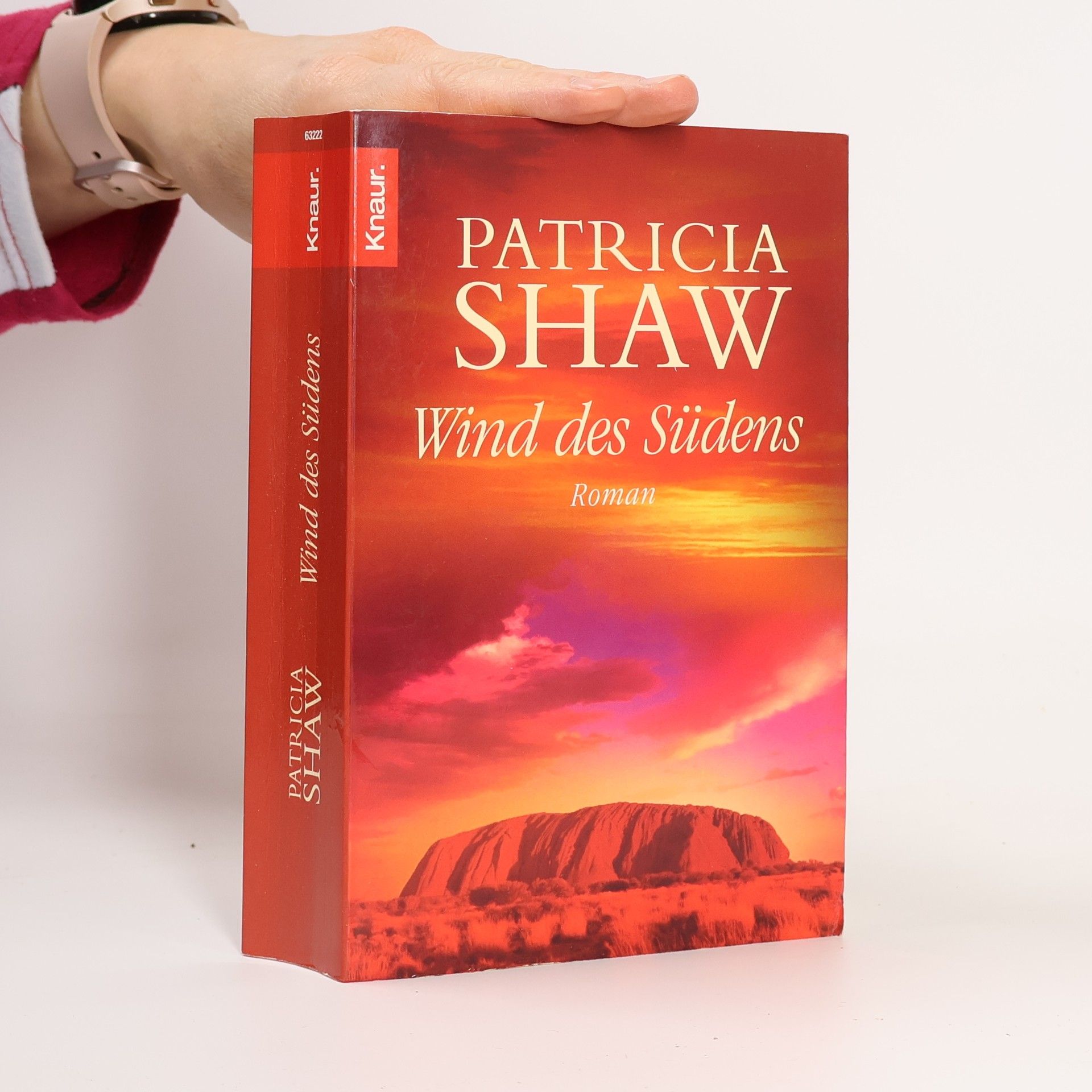 Patricia Shaw Wind des Südens