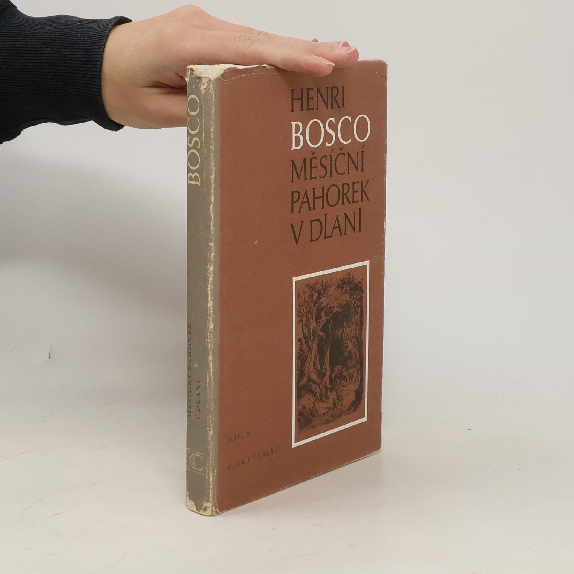 Měsíční pahorek v dlani