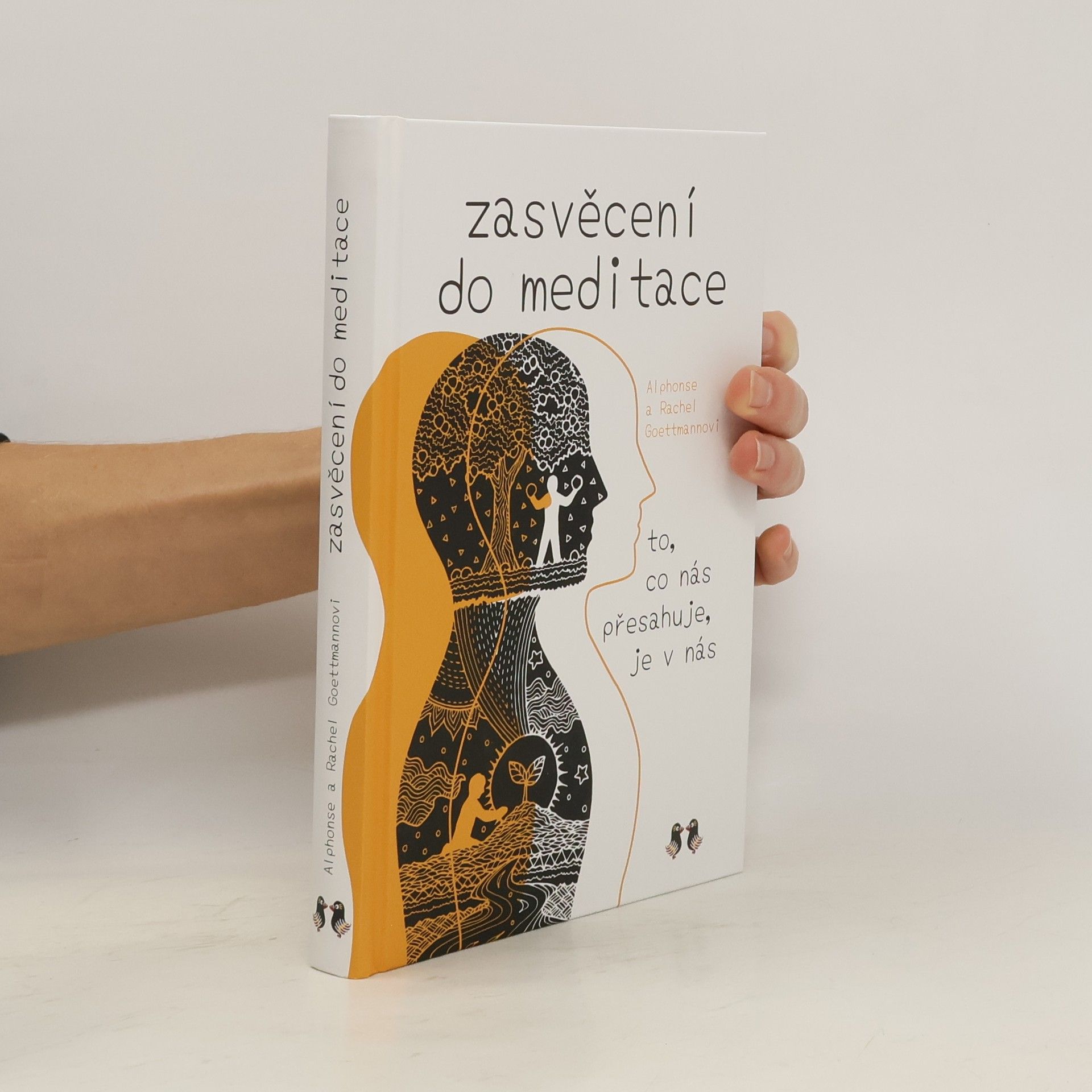 Zasvěcení do meditace : to, co nás přesahuje, je v nás