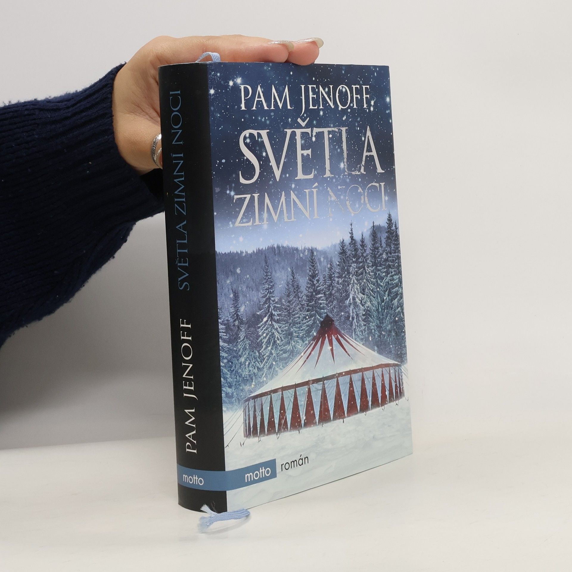 Pam Jenoff Světla zimní noci