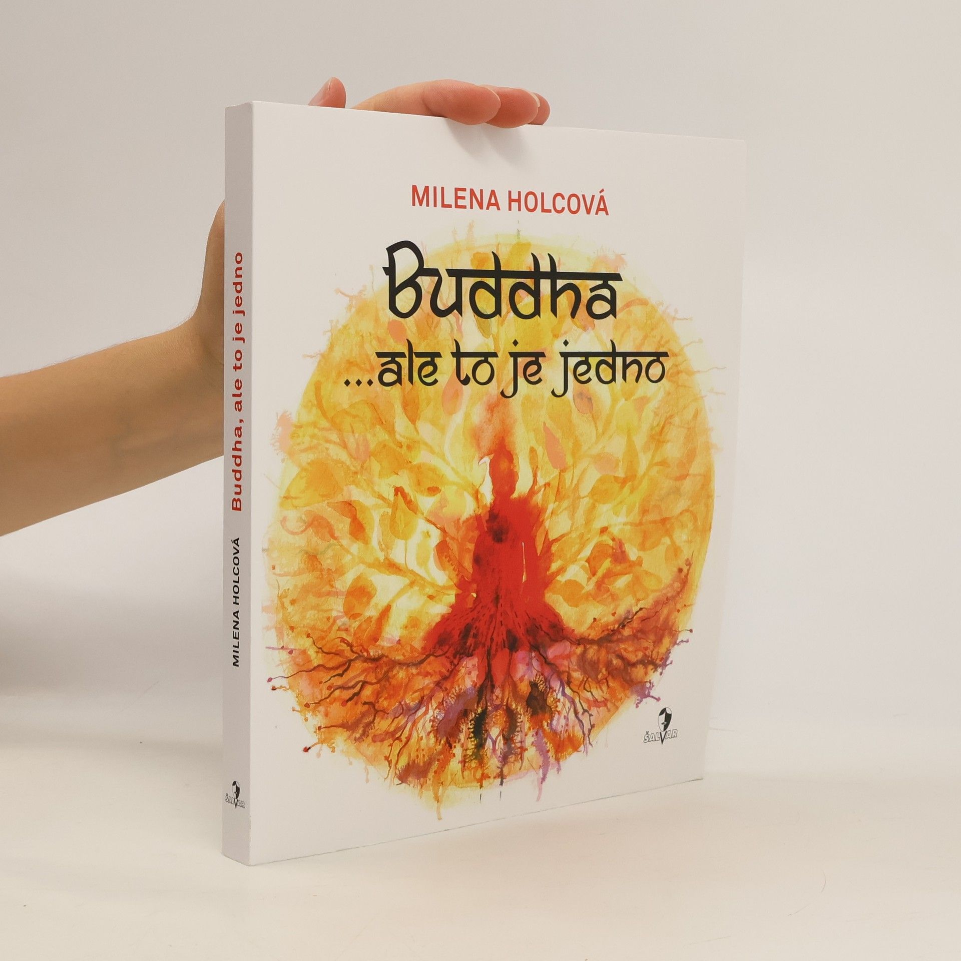 Milena Holcová Buddha ...ale to je jedno