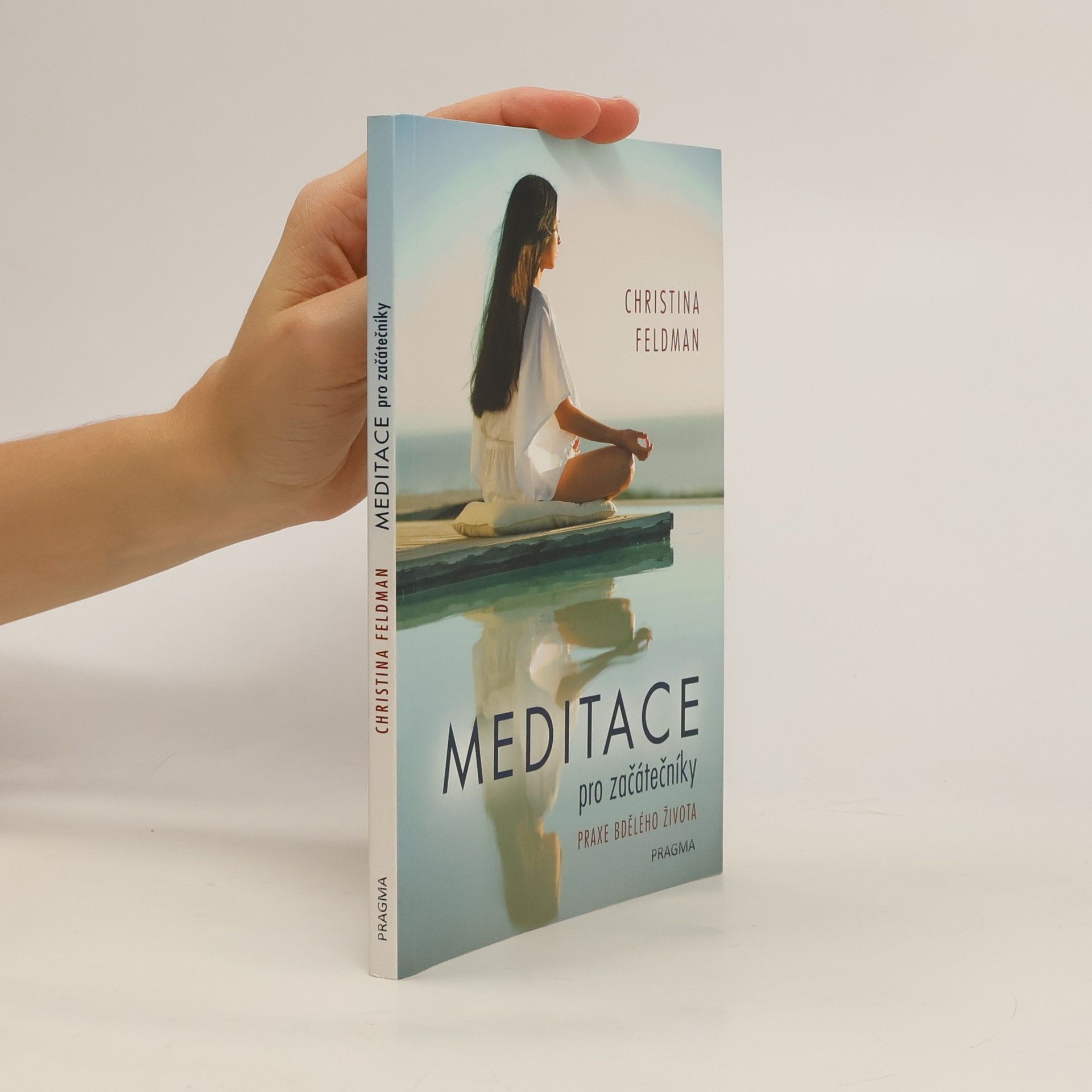 Christina Feldman Meditace pro začátečníky. Praxe bdělého života