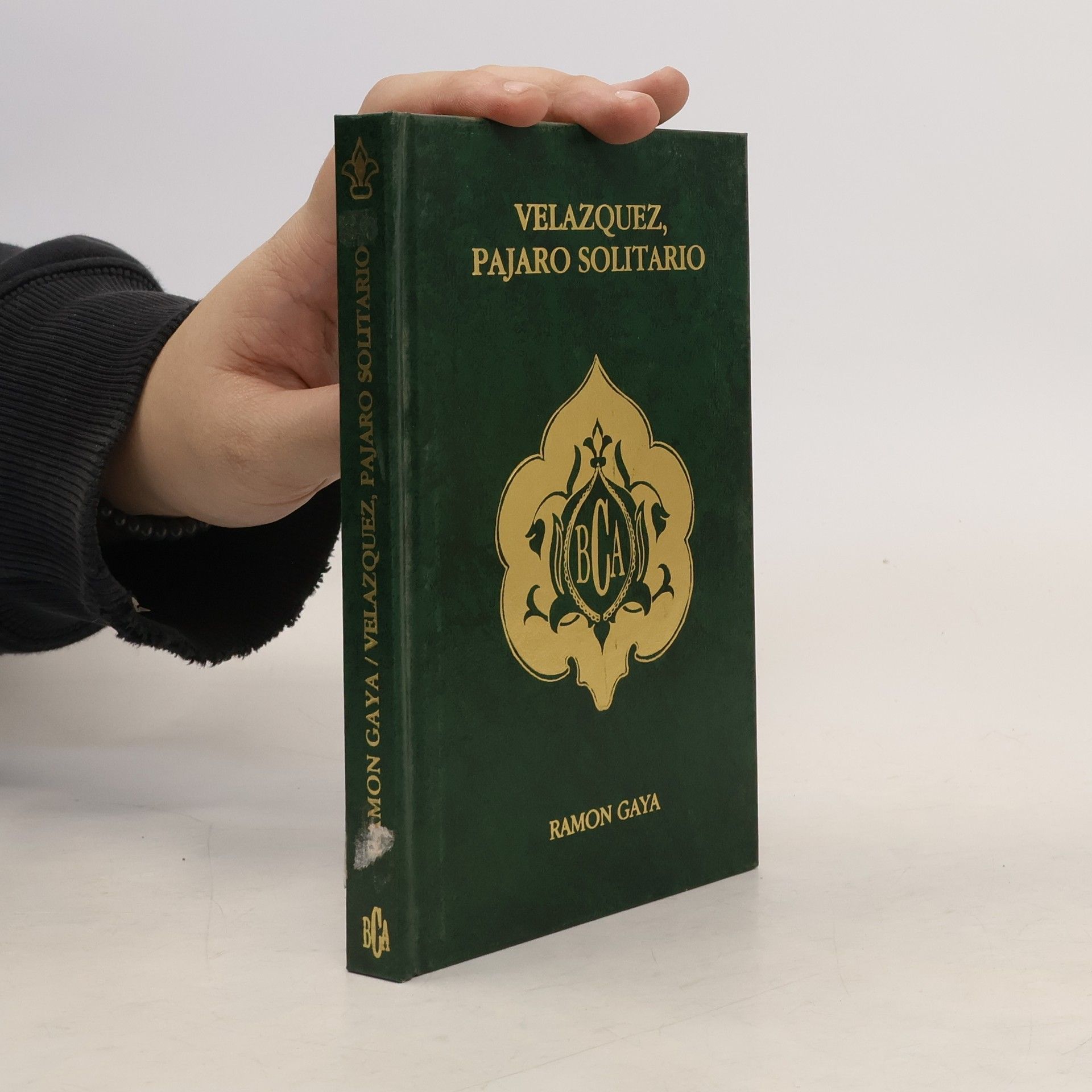 Ramón Gaya Velázquez, pájaro solitario