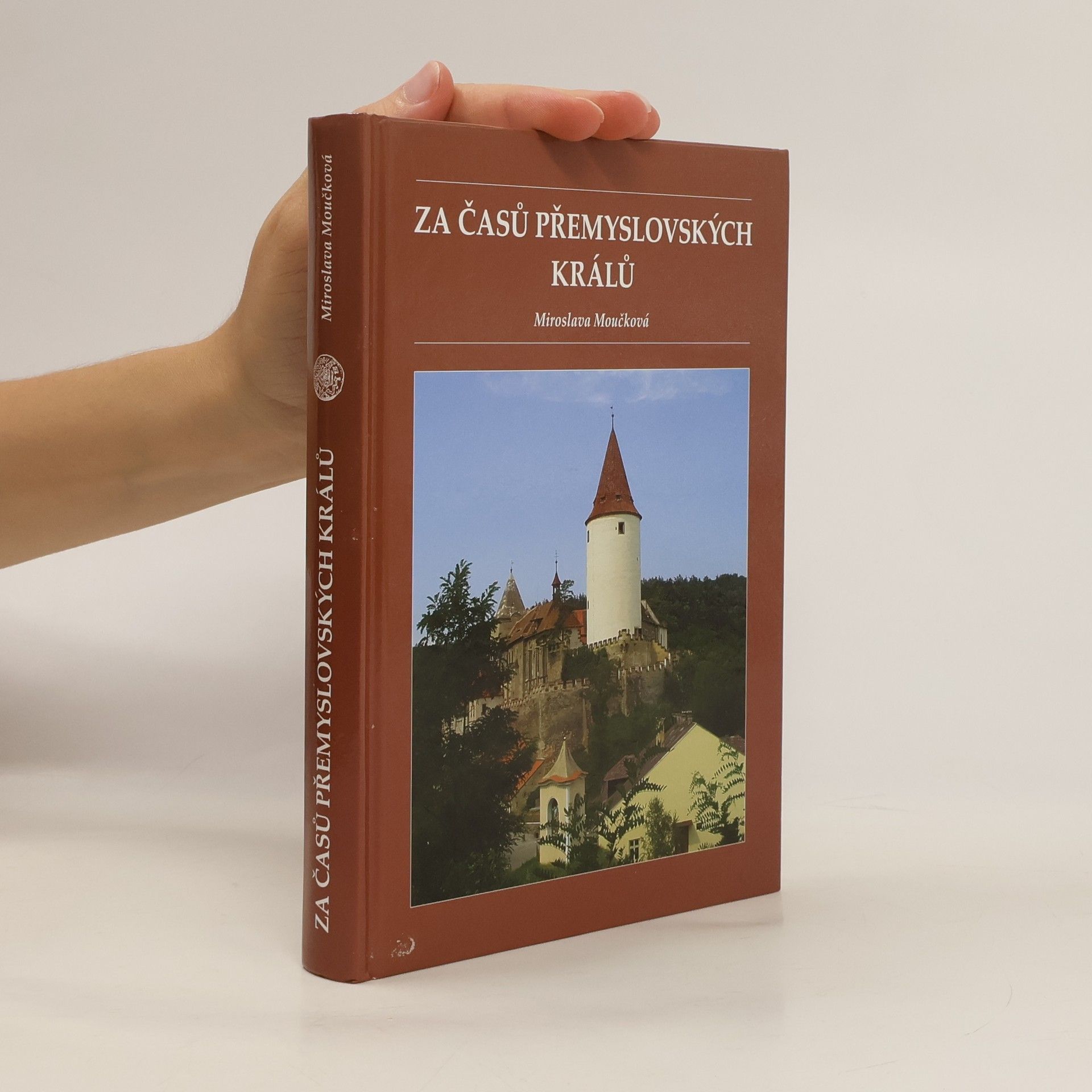 Za časů přemyslovských králů