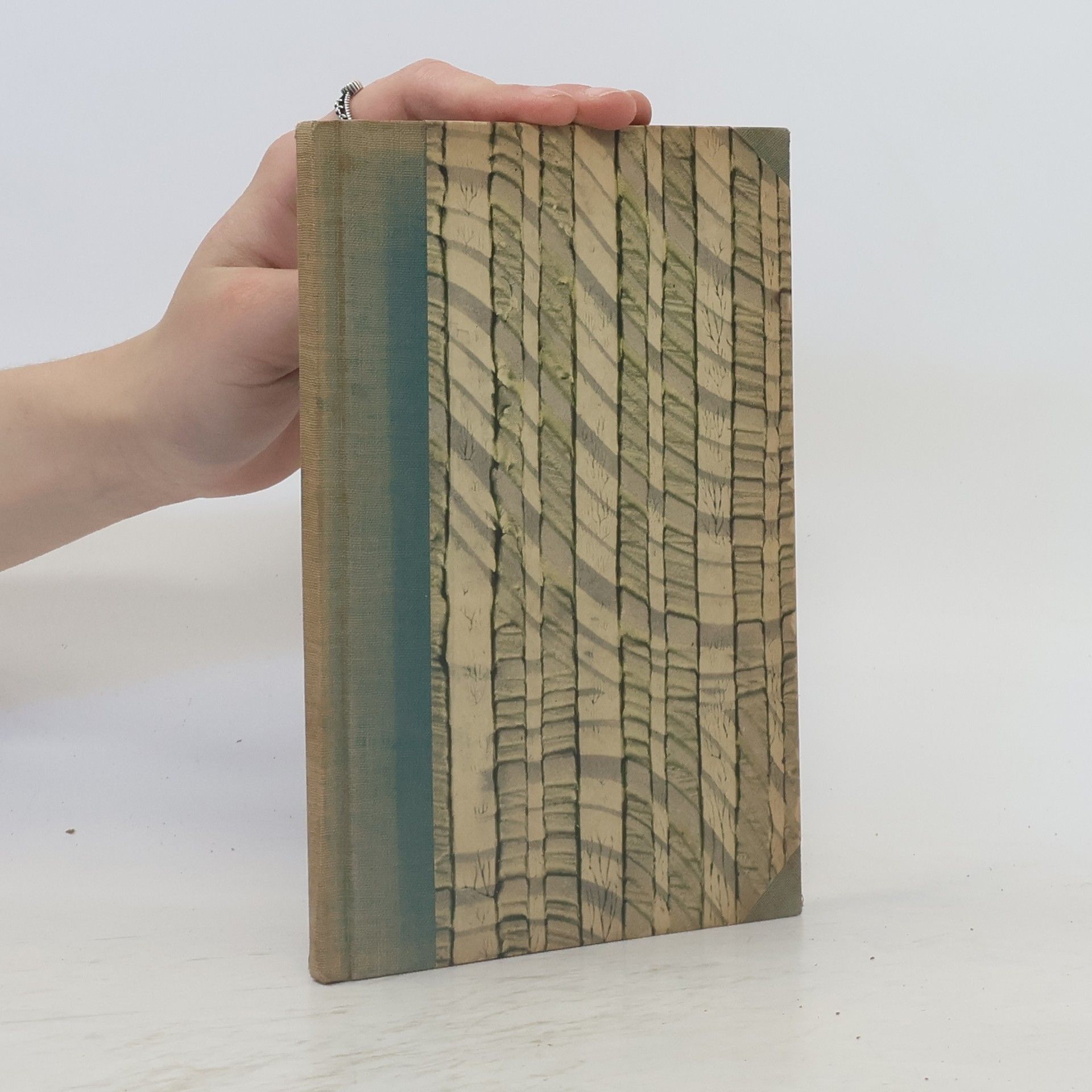 AA.VV. The Story of Aladdin and the Wonderful Lamp