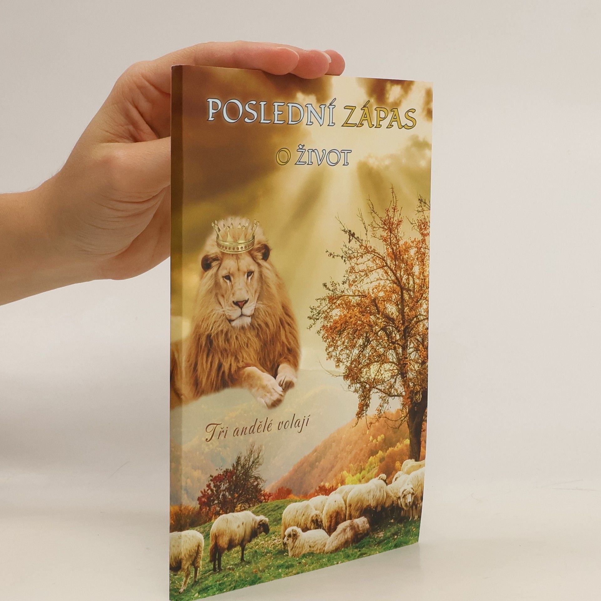 Poslední zápas o život Tři andělé volají