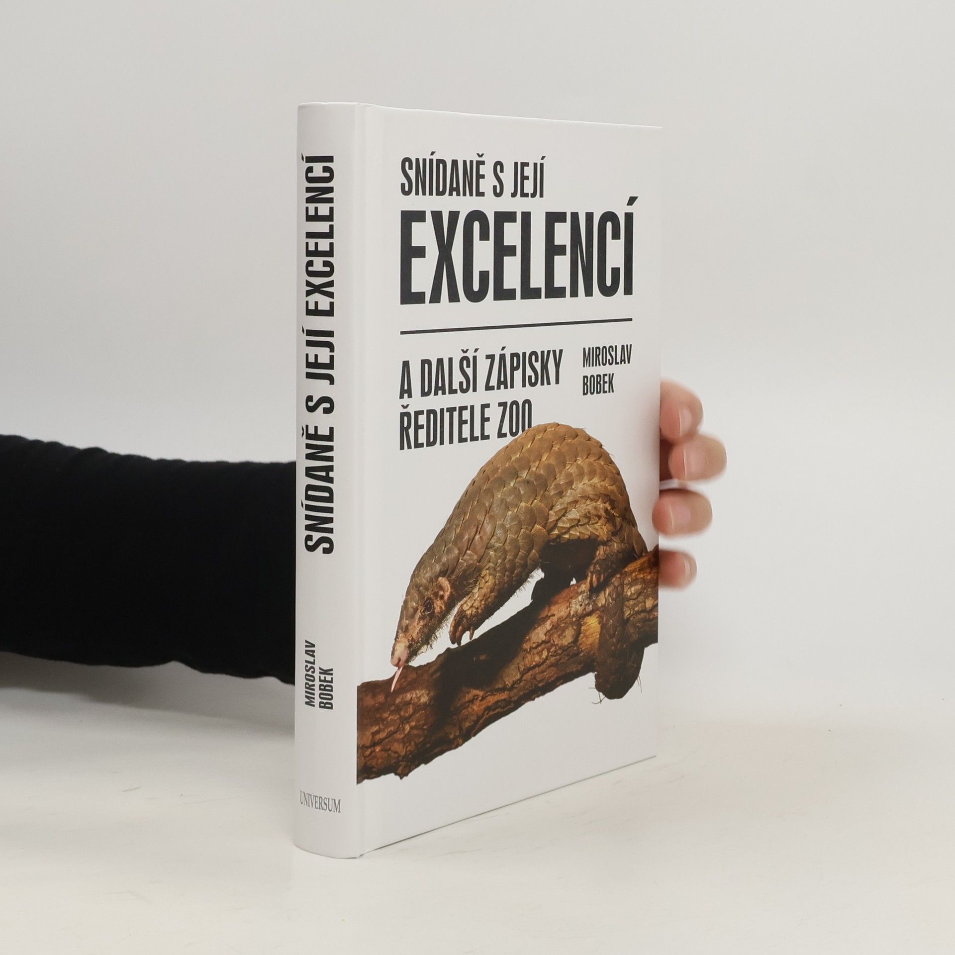 Miroslav Bobek Snídaně s její excelencí