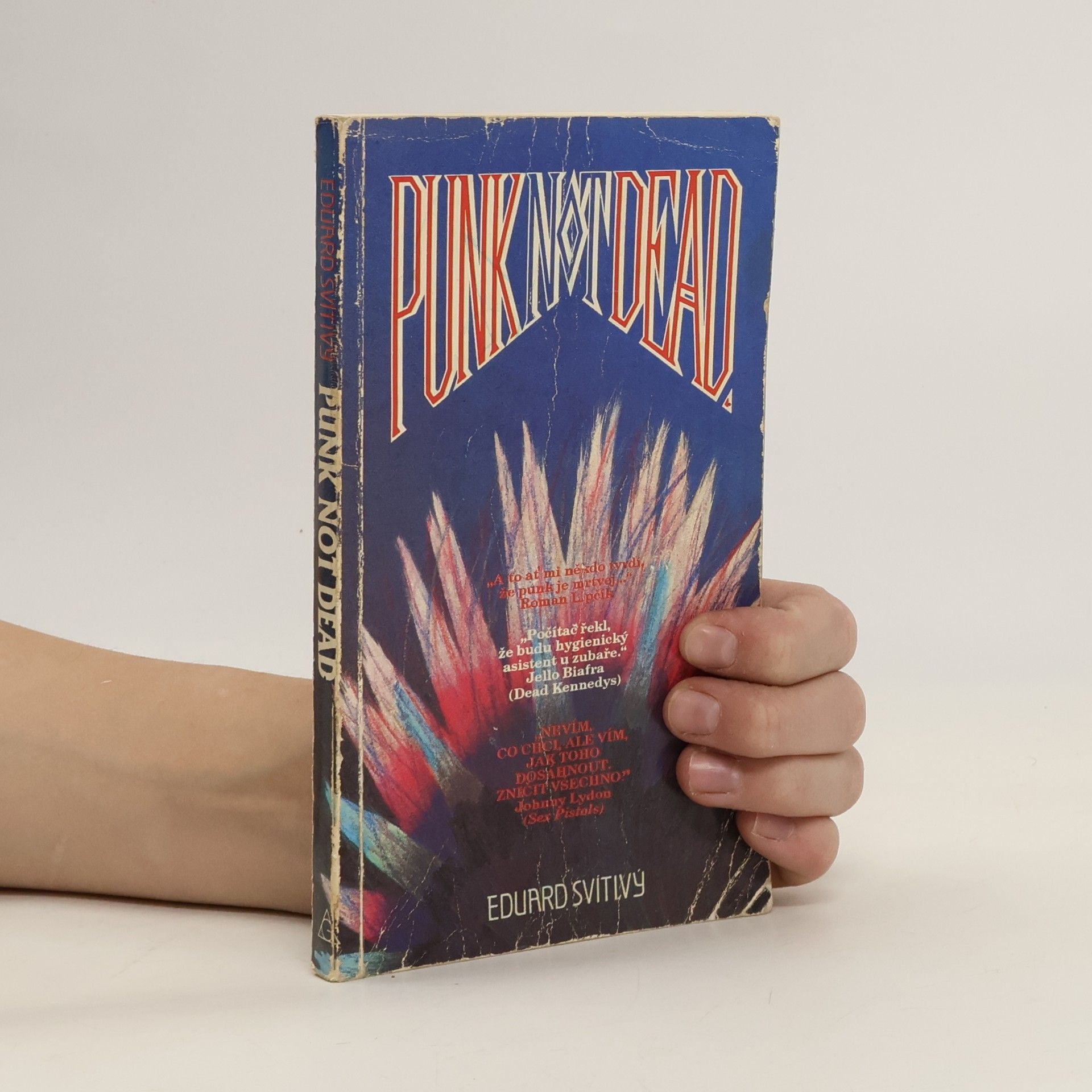 Eduard Svítivý Punk Not Dead