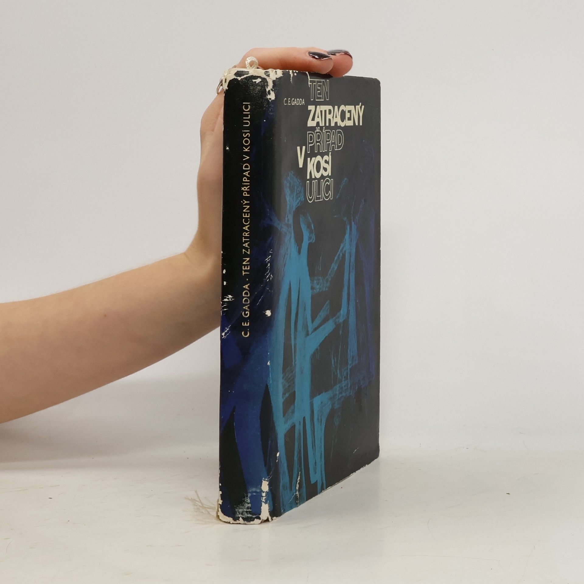 Ten zatracený případ v Kosí ulici