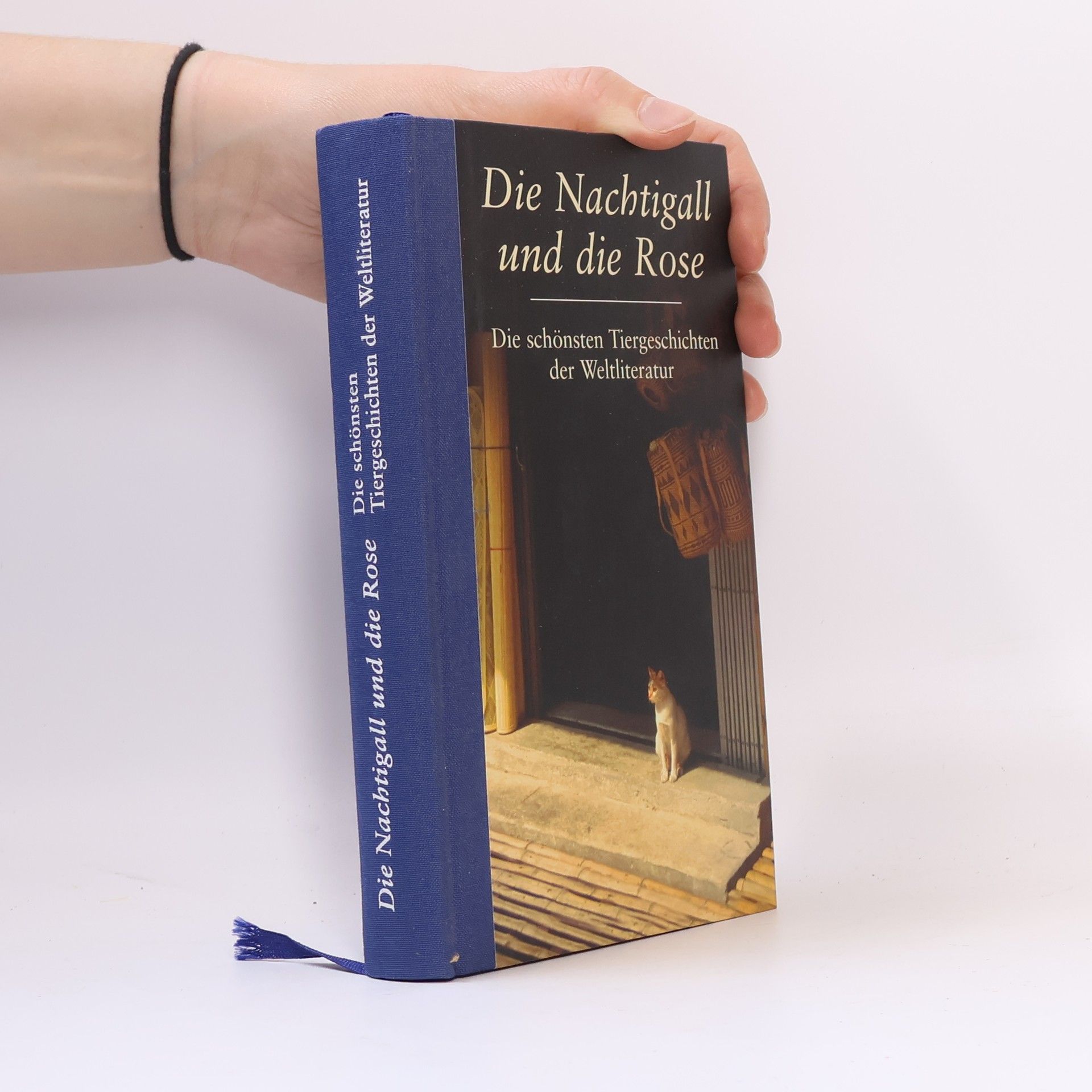 Gesine Dammel Die Nachtigall und die Rose