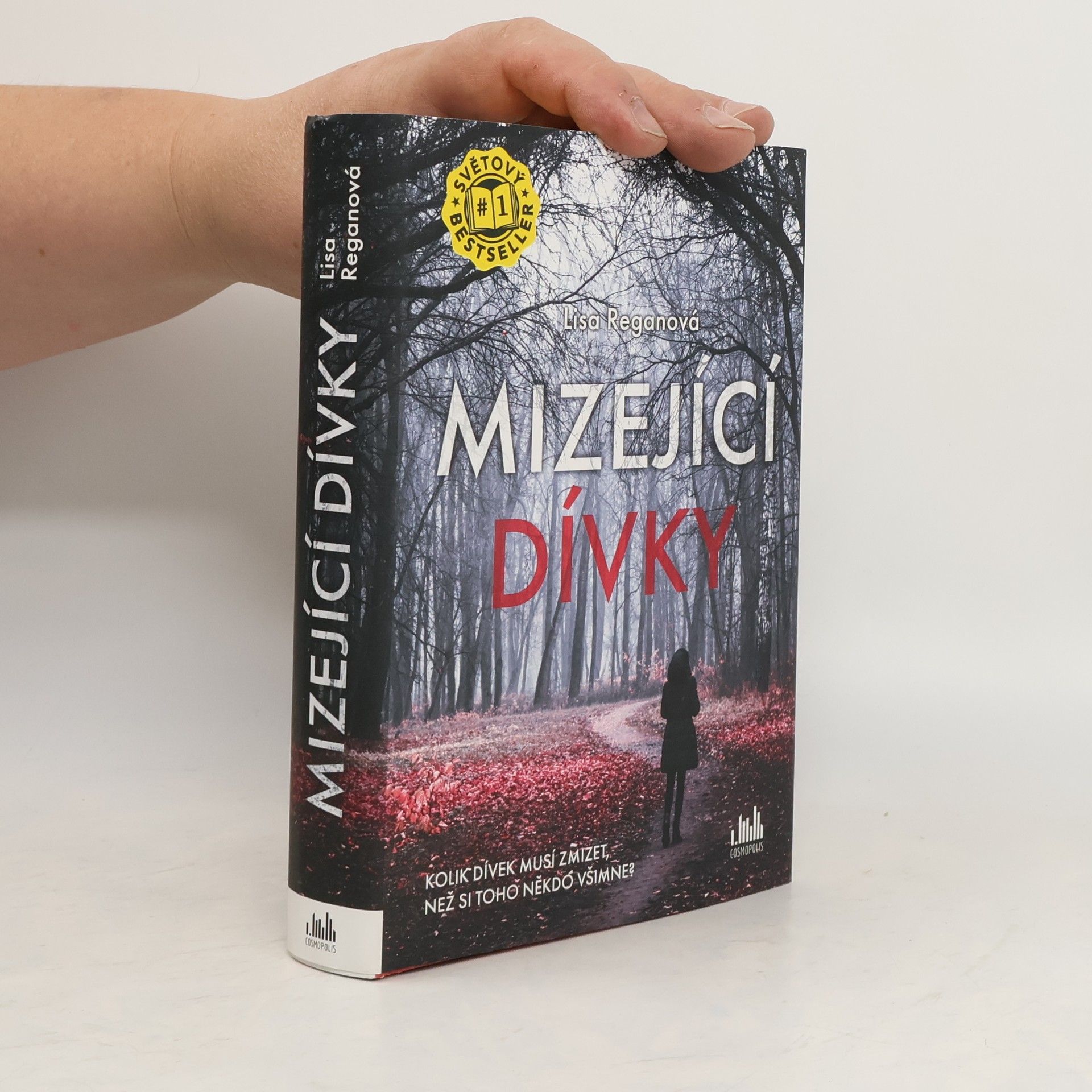 Lisa Regan Mizející dívky