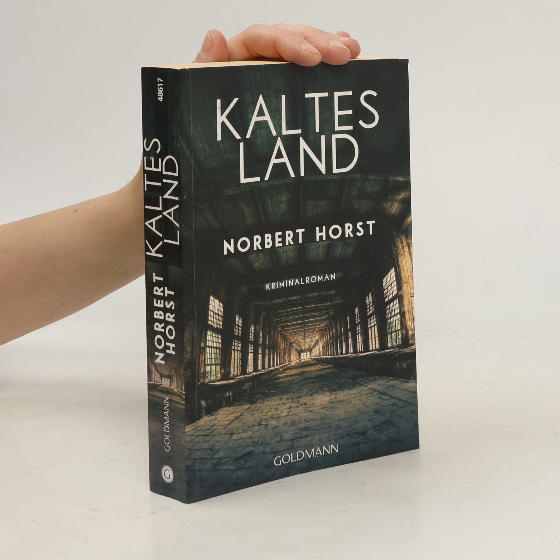 Norbert Horst Kaltes Land
