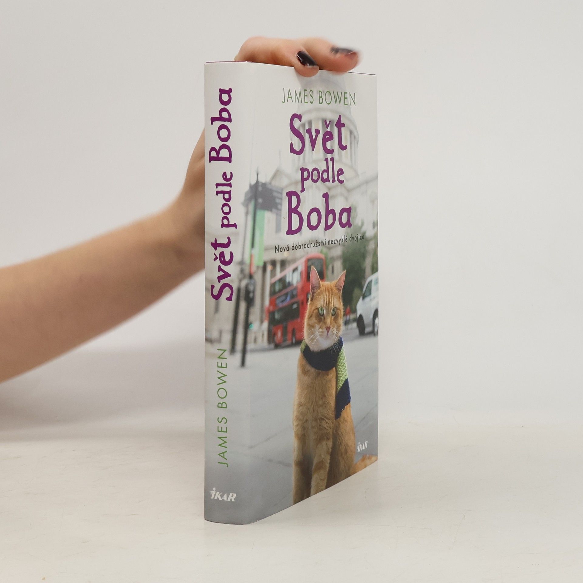 James Bowen Svět podle Boba