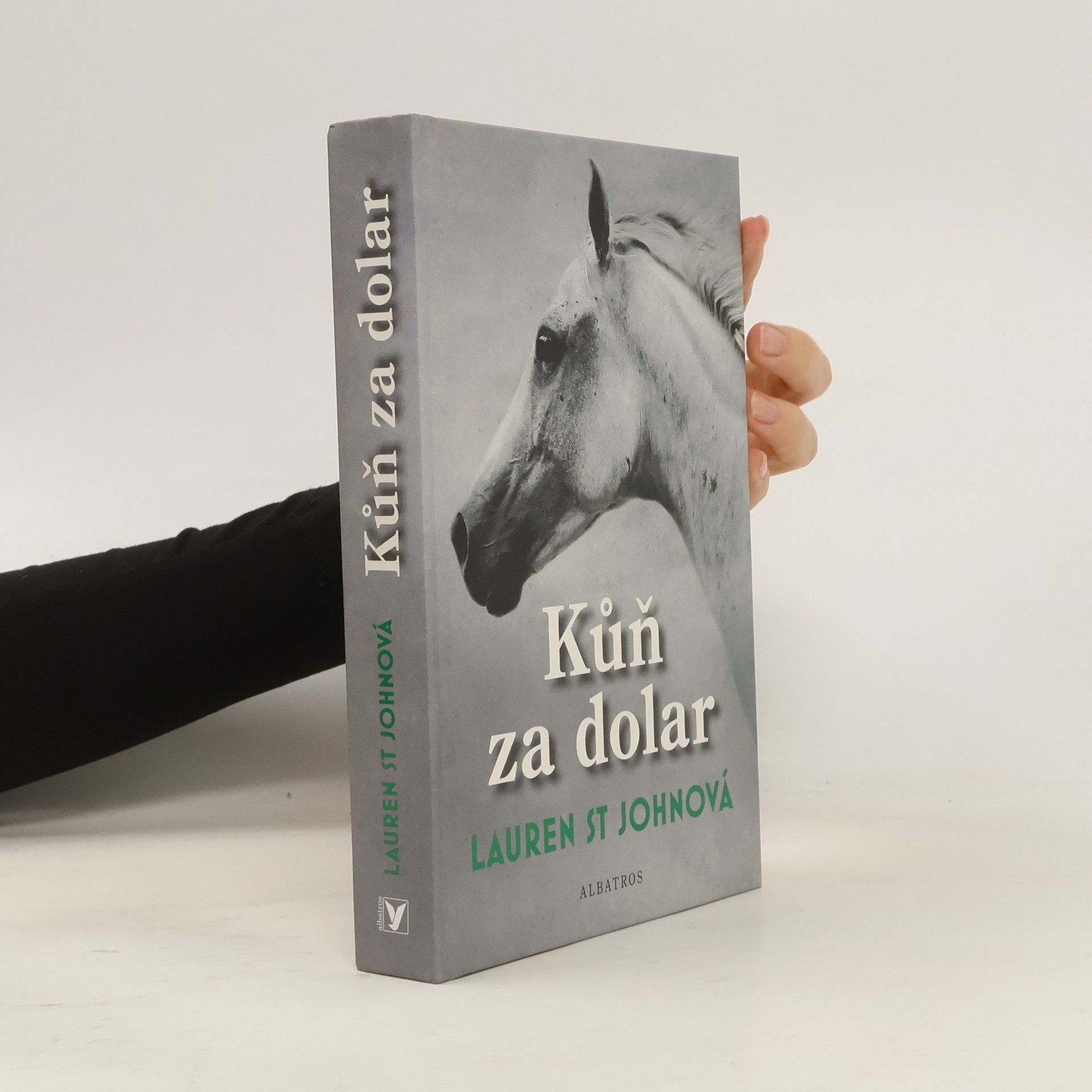 Lauren St. John Kůň za dolar