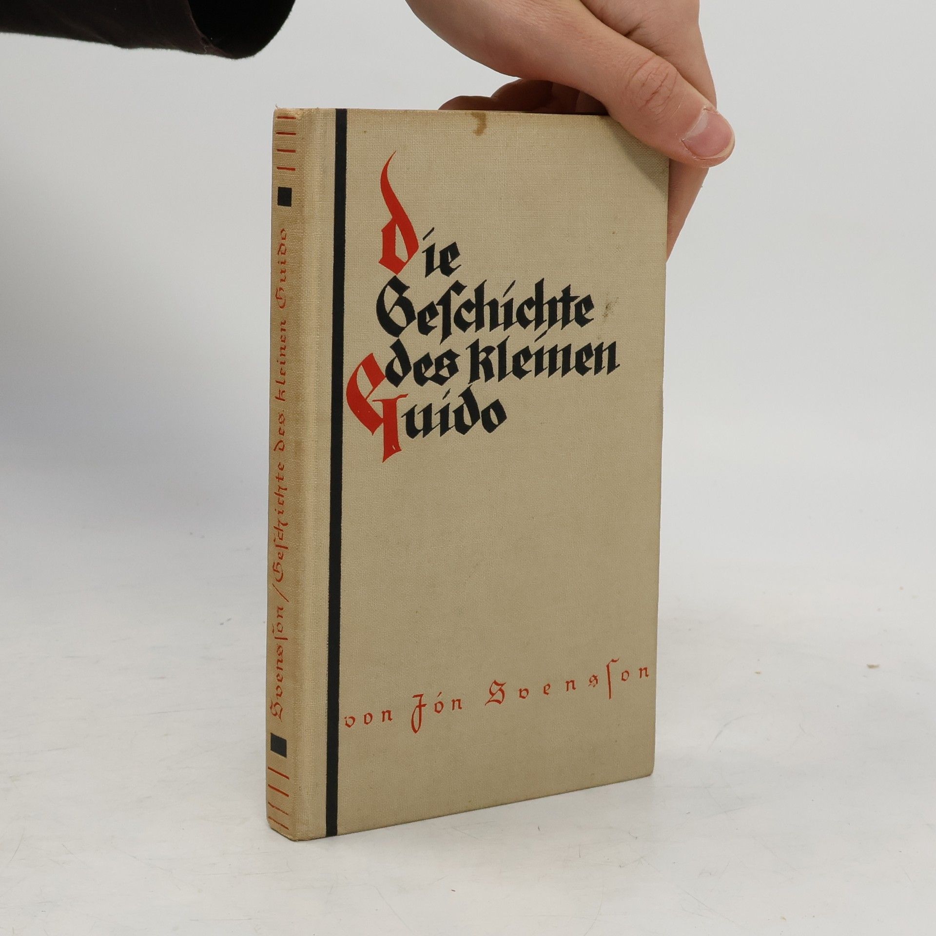 Jón Svensson Die Geschichte des kleinen Guido