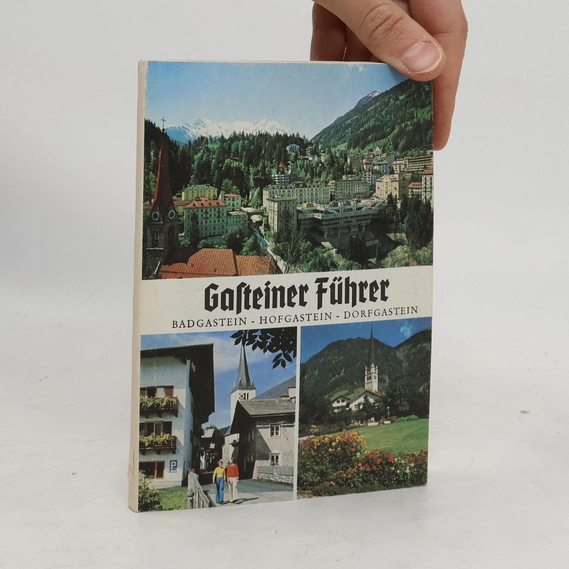 Auteurscollectief Gasteiner Führer