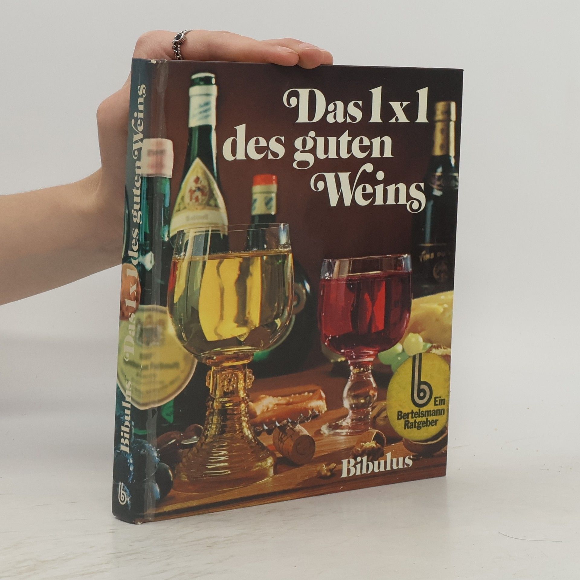 Kolektiv autorů Das 1x1 des guten Weins