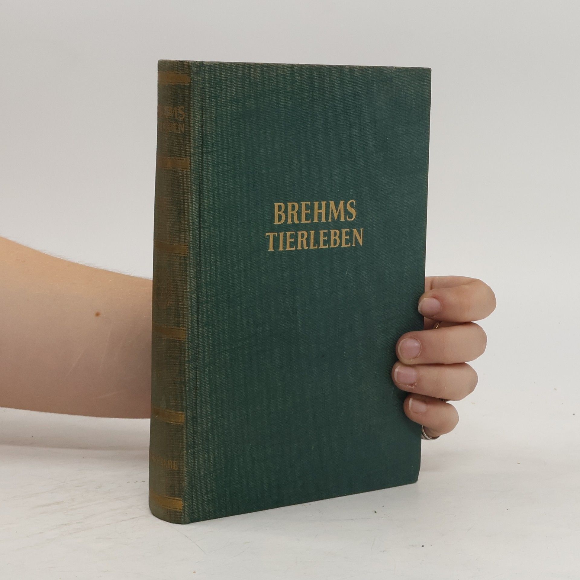 Autorenkollektiv Brehms Tierleben