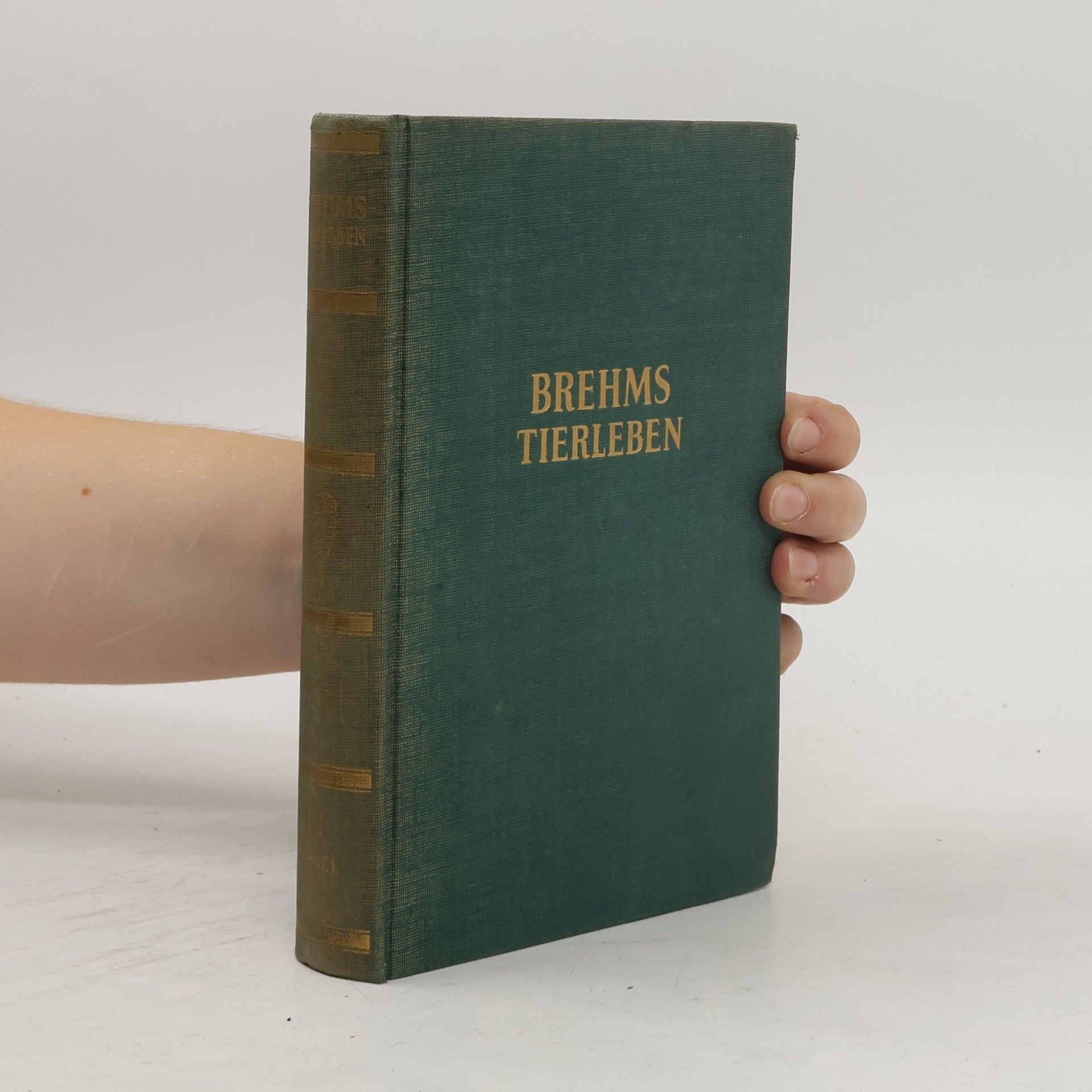 Kolektív autorov Brehms Tierleben 6. Vögel