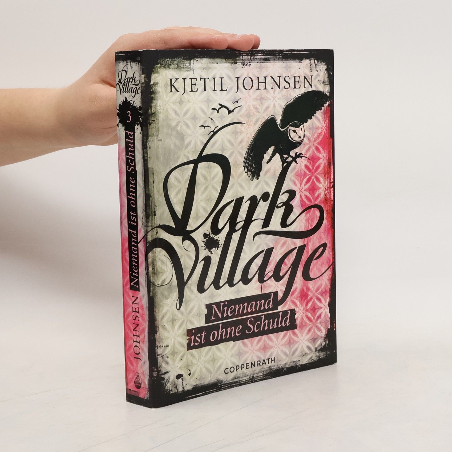 Kjetil Johnsen Dark Village 03 - Niemand ist ohne Schuld