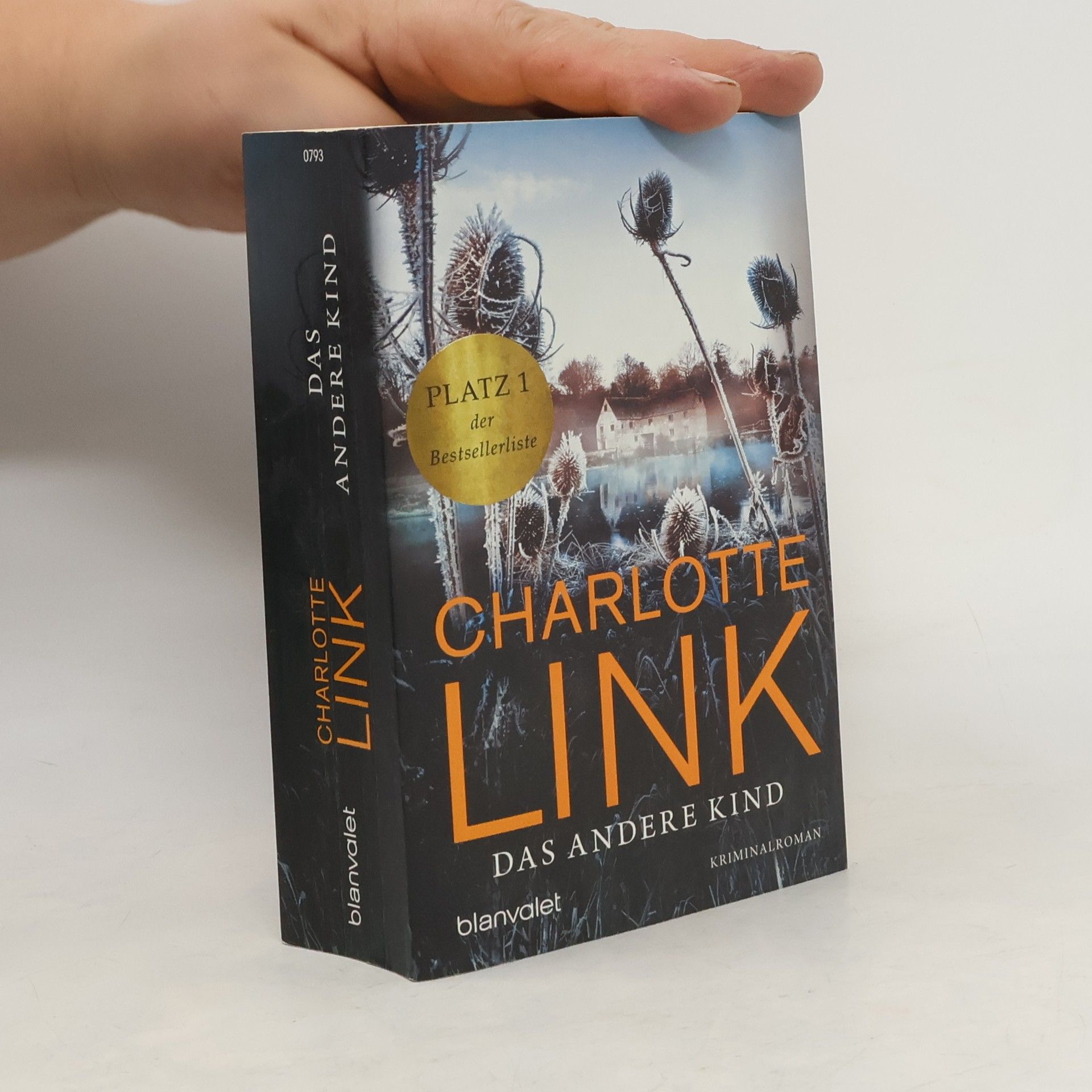 Charlotte Link Das andere Kind